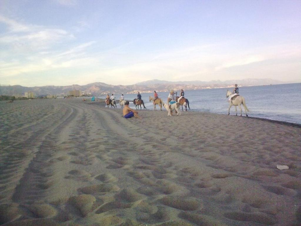 Malaga Chalet en Guadalmar