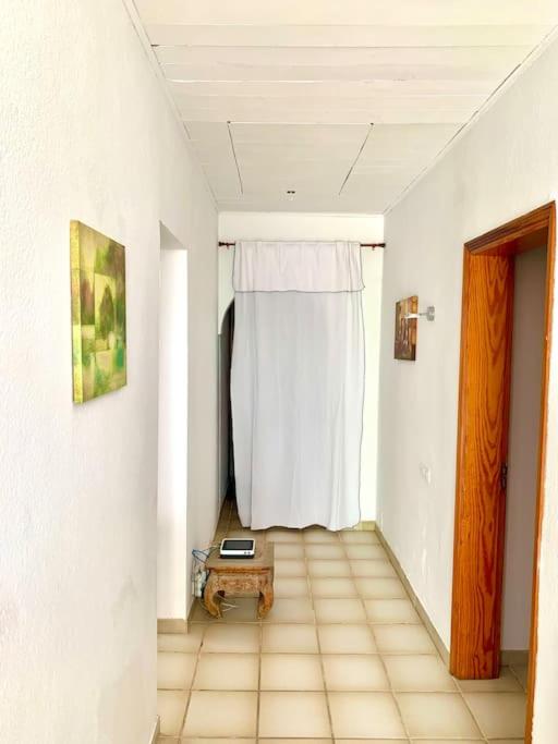 Casa Delfin