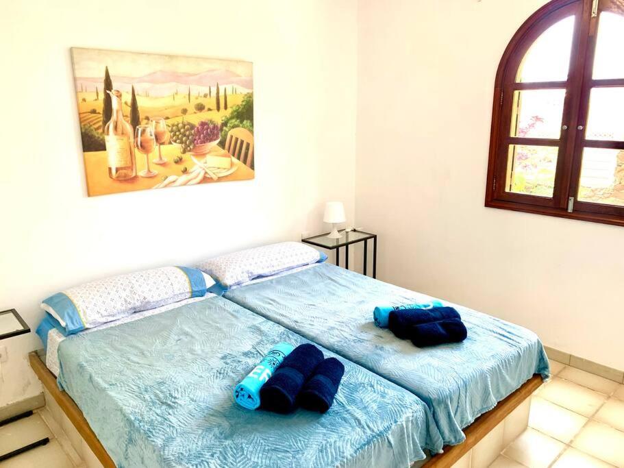 Casa Delfin