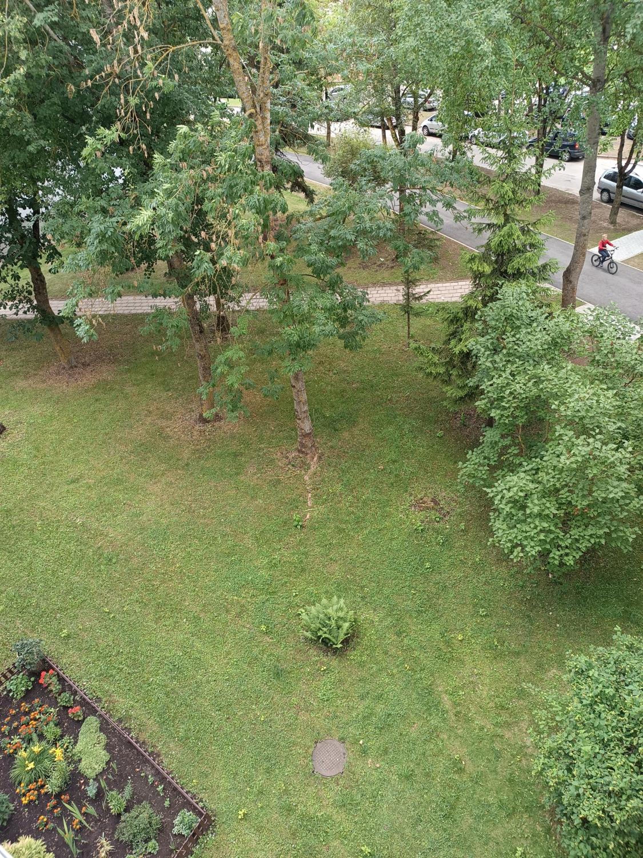 Photo 6
