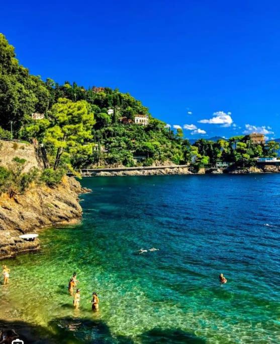 Casa Elvira - Centro storico sul mare a Rapallo photo 5