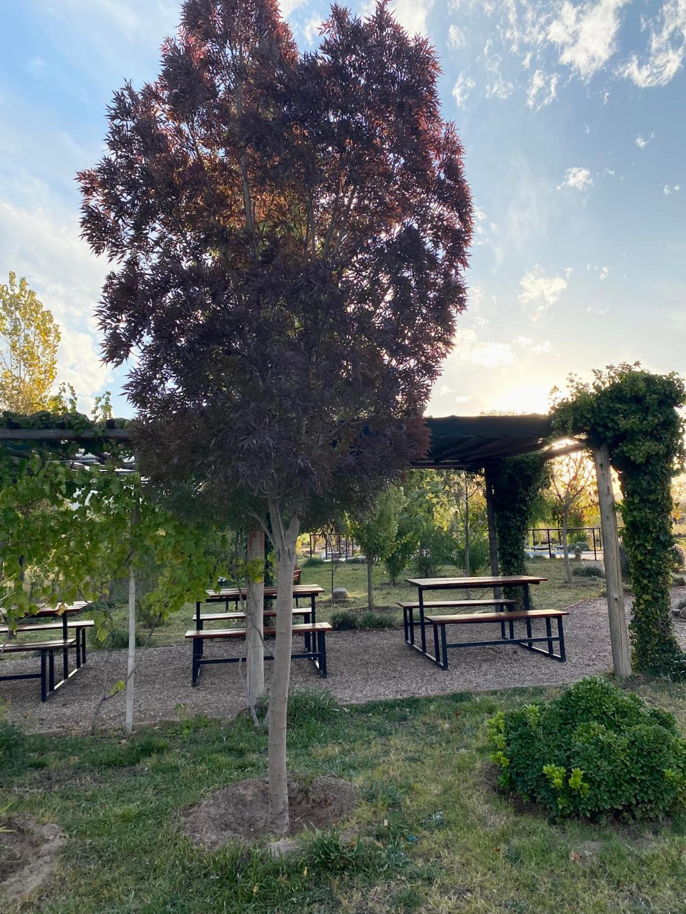 Cabañas La Emilia Apart