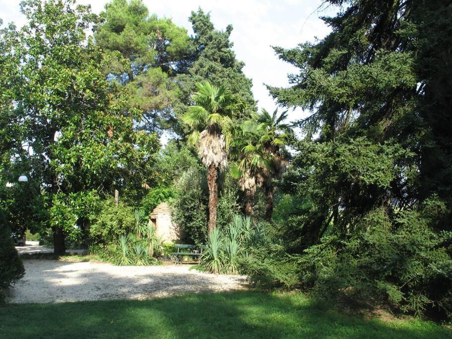 Agriturismo Floriani