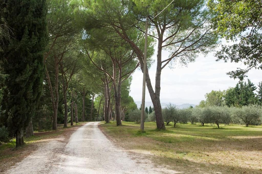Agriturismo Floriani