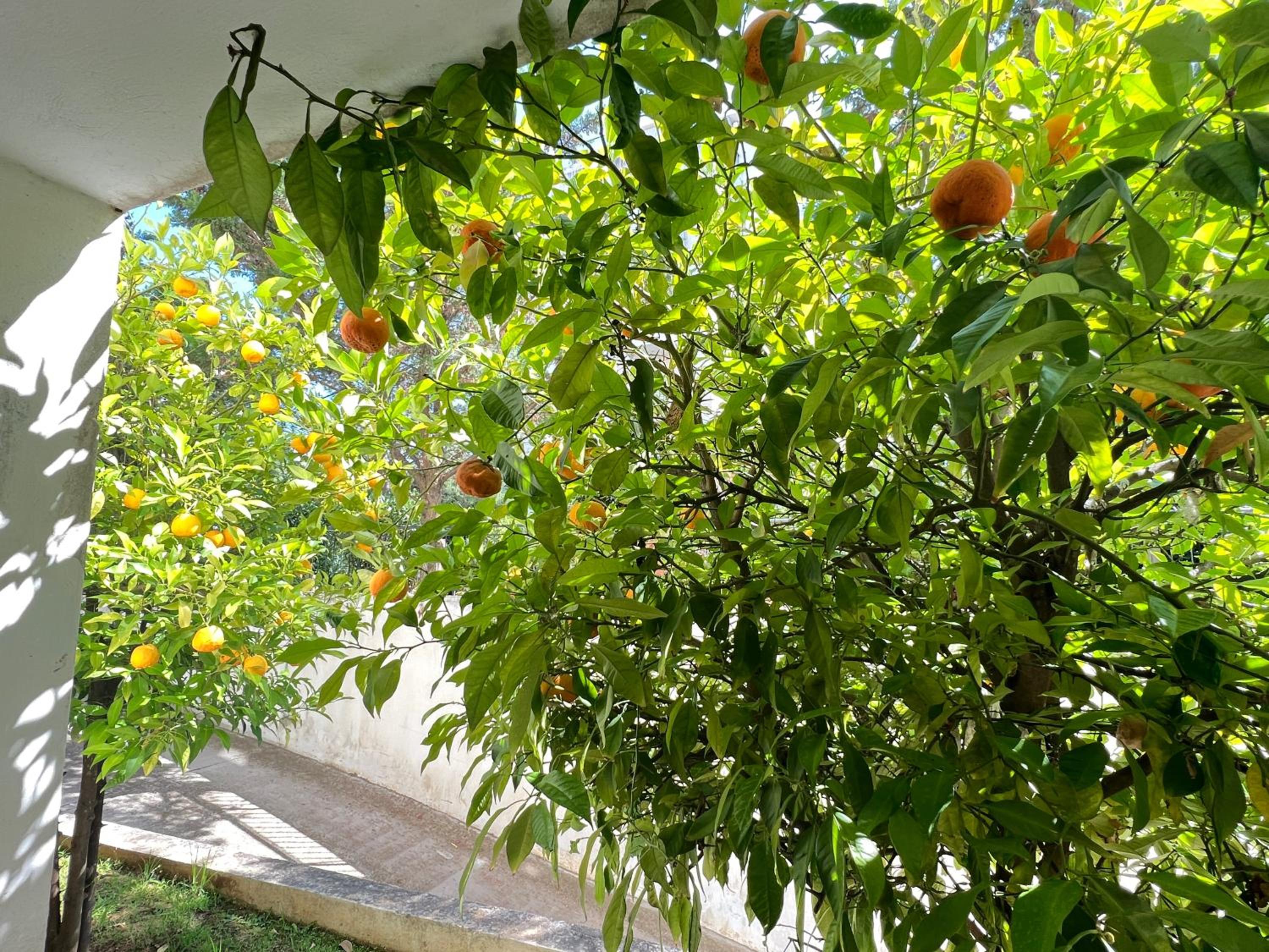 Cozy fairytal garden apartment, Family Friendly, Free parking, 15 Min to Airport