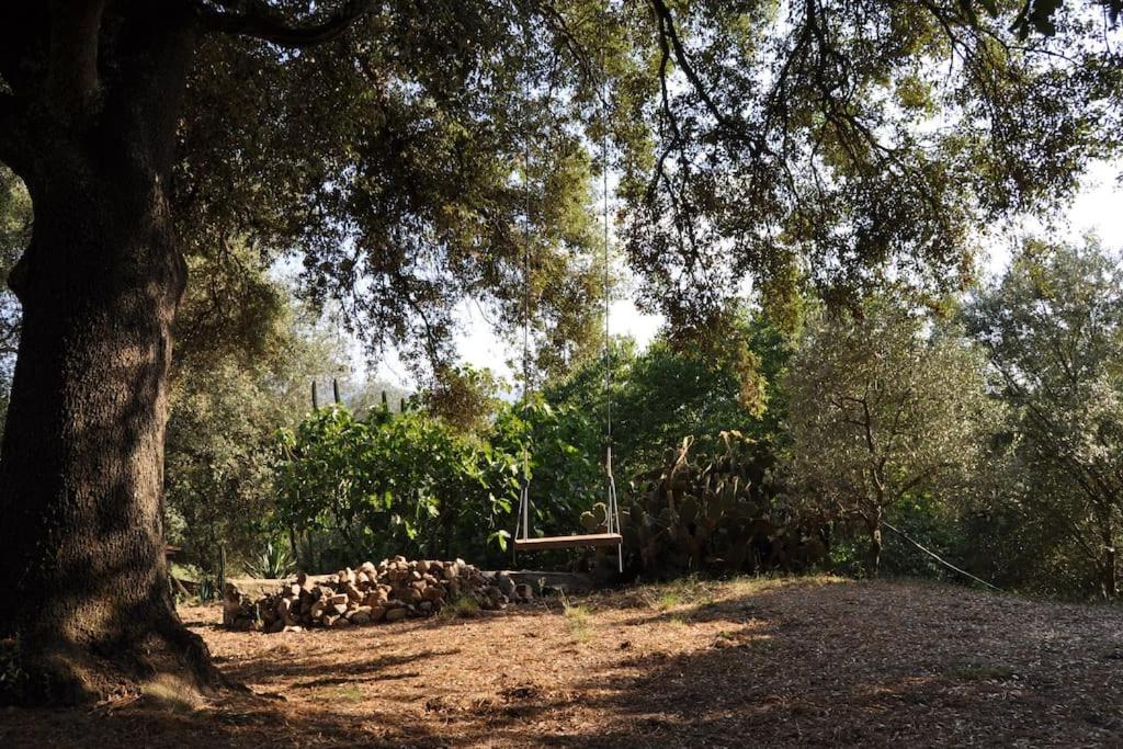 Acogedor apartamento en entorno rural