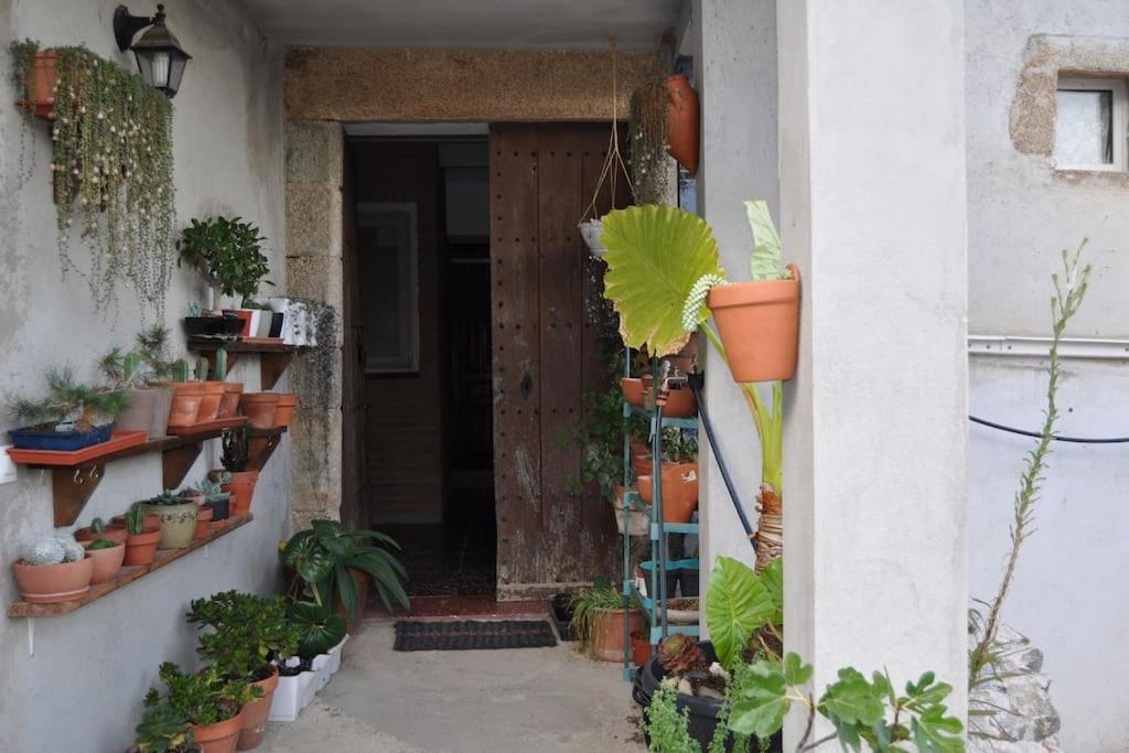 Acogedor apartamento en entorno rural