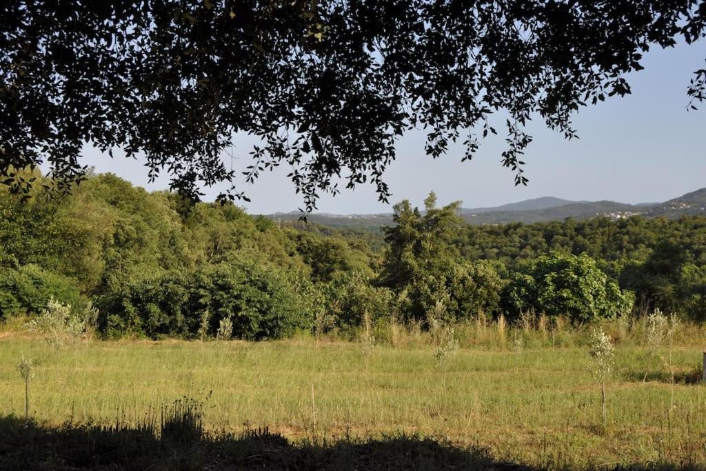 Acogedor apartamento en entorno rural