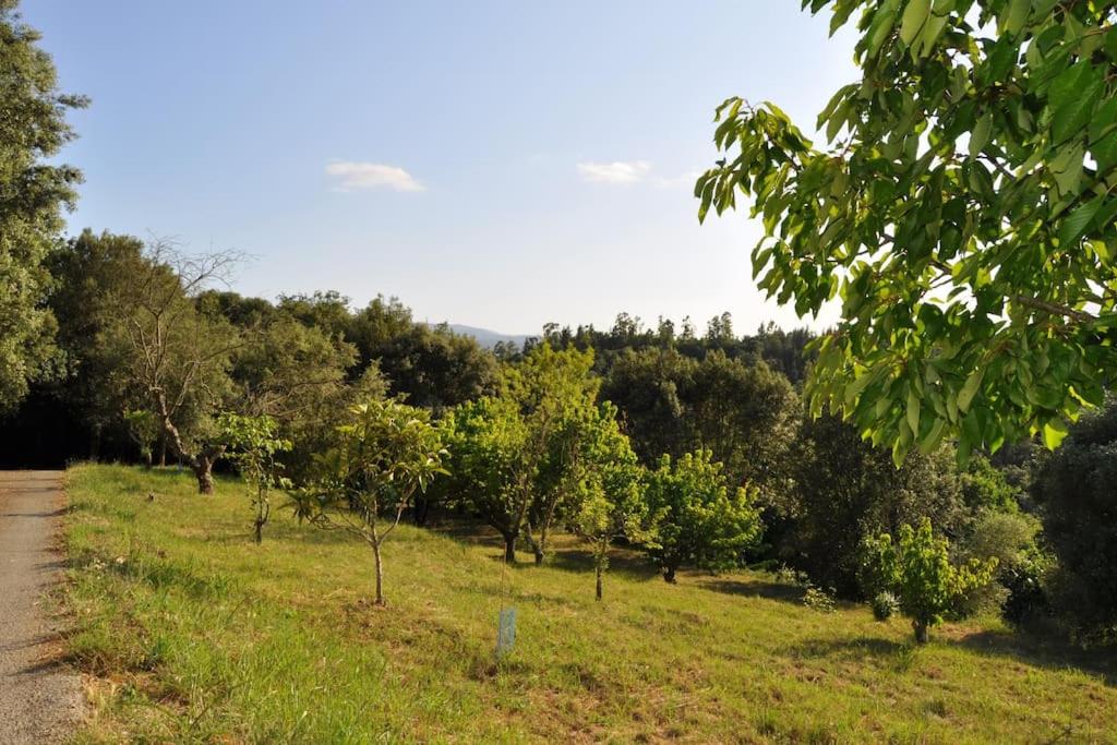 Acogedor apartamento en entorno rural