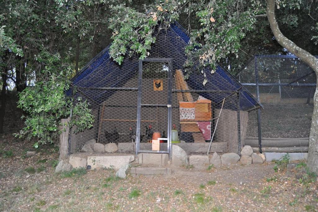 Acogedor apartamento en entorno rural