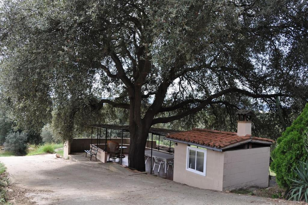 Acogedor apartamento en entorno rural