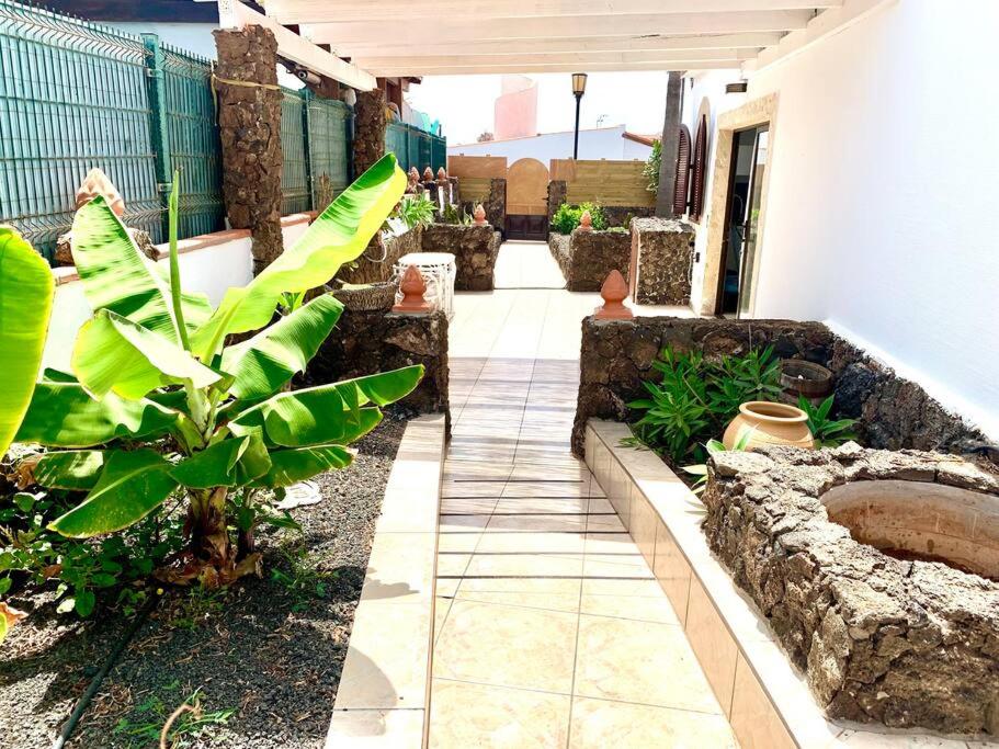 Casa Gato