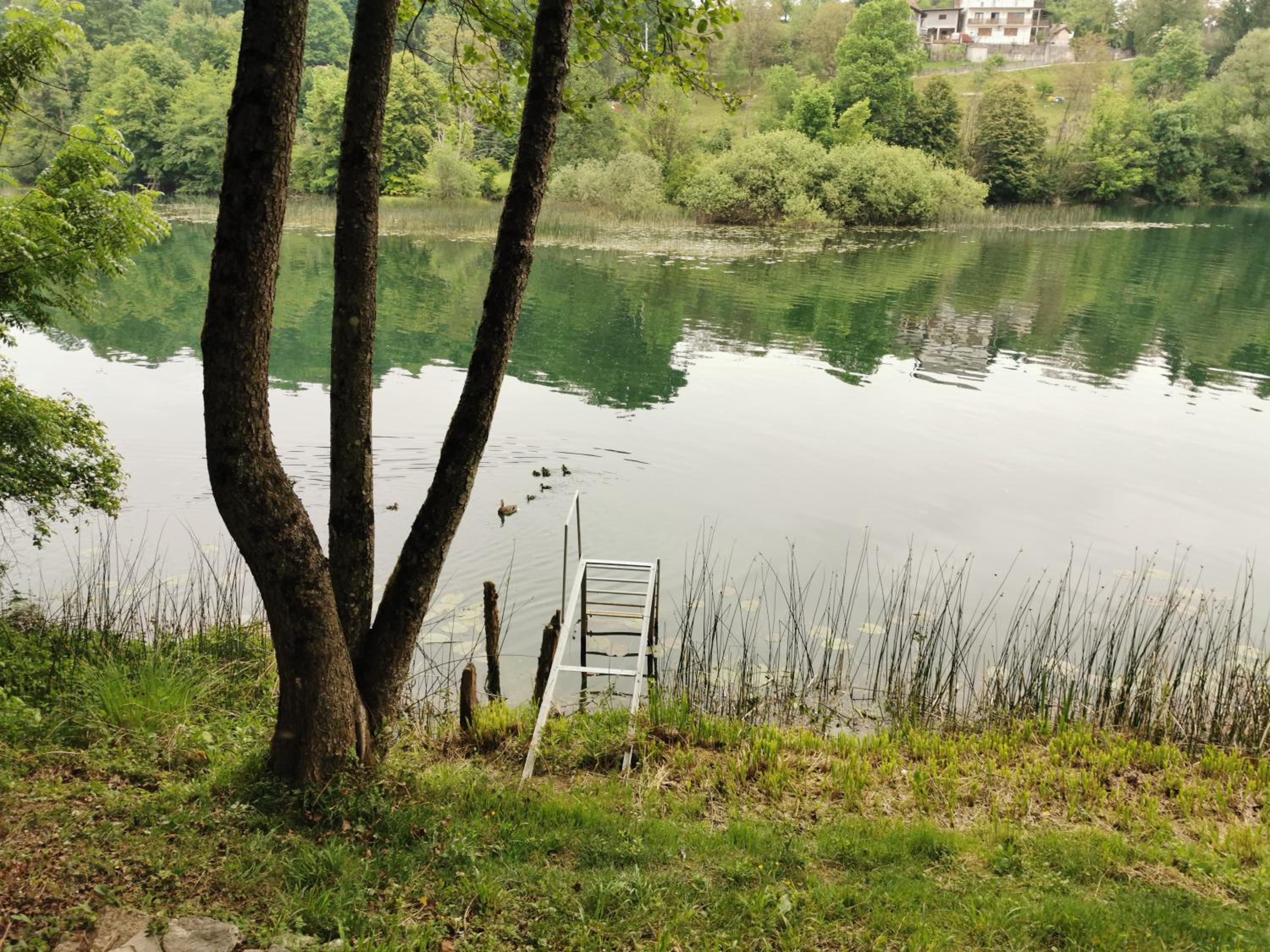 Photo 27
