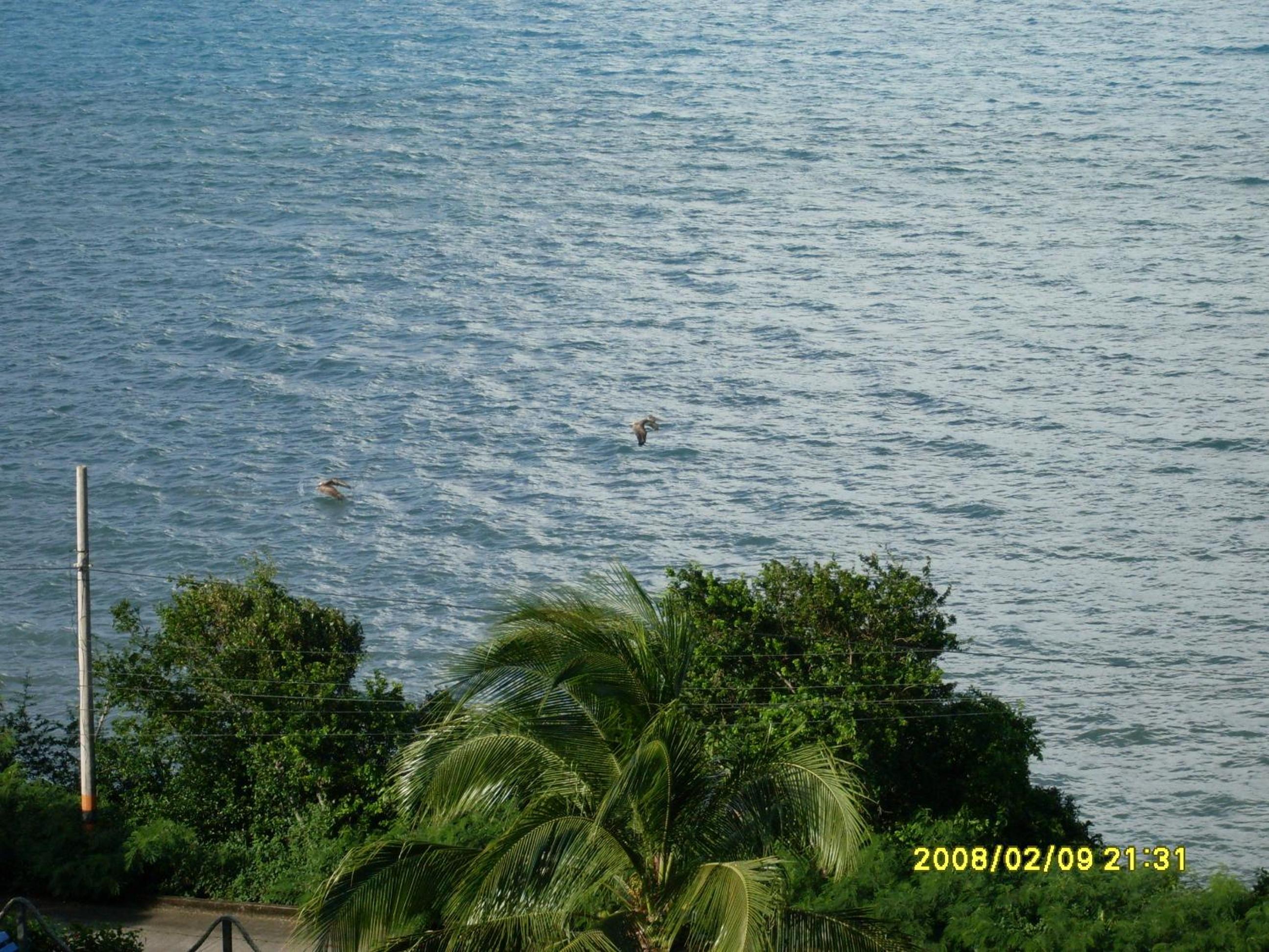 Maracaibo View