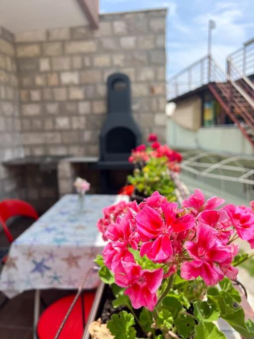 Apartmani Teodora