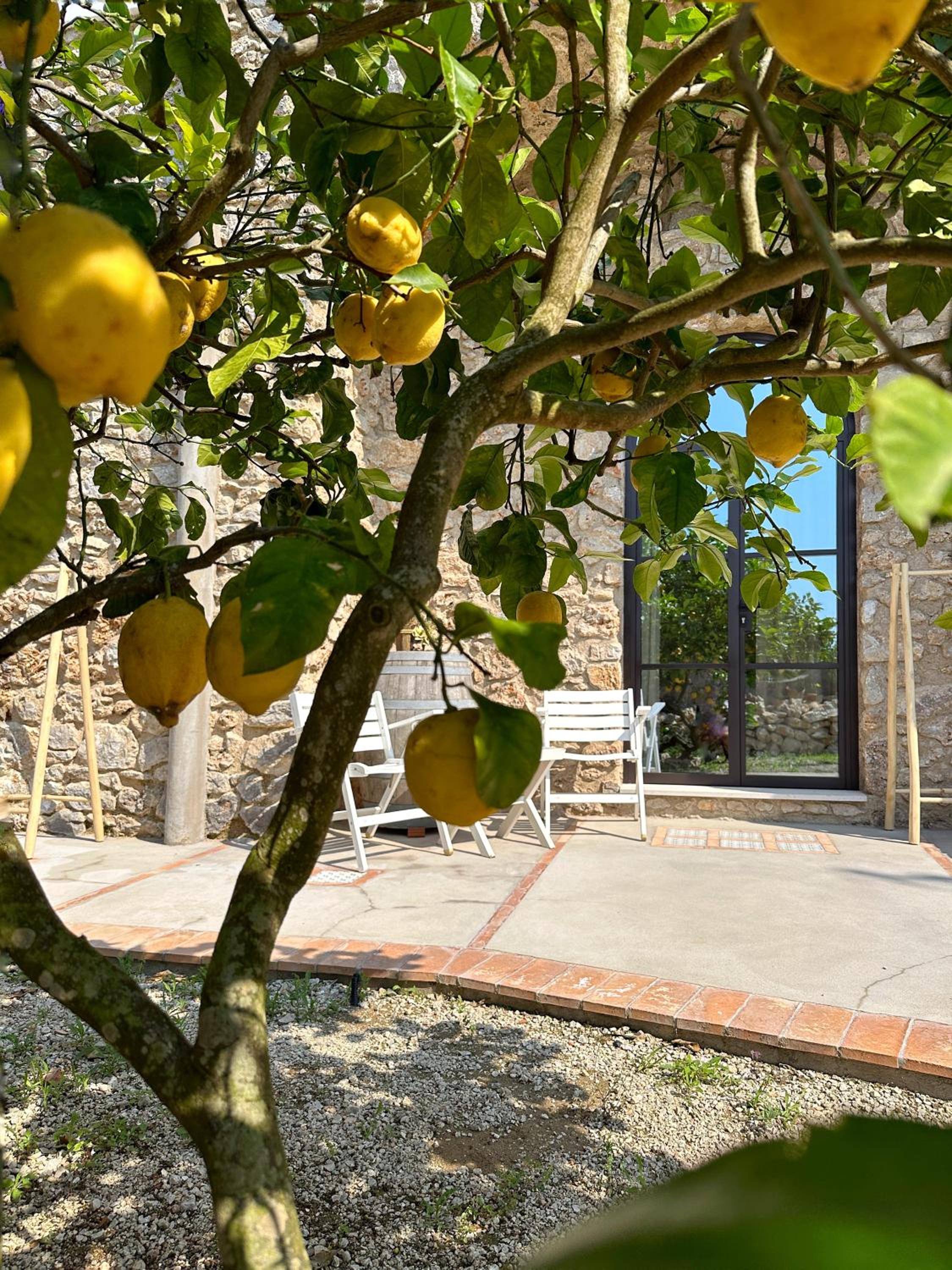 Dimora Storica Villa Pasquale Capri