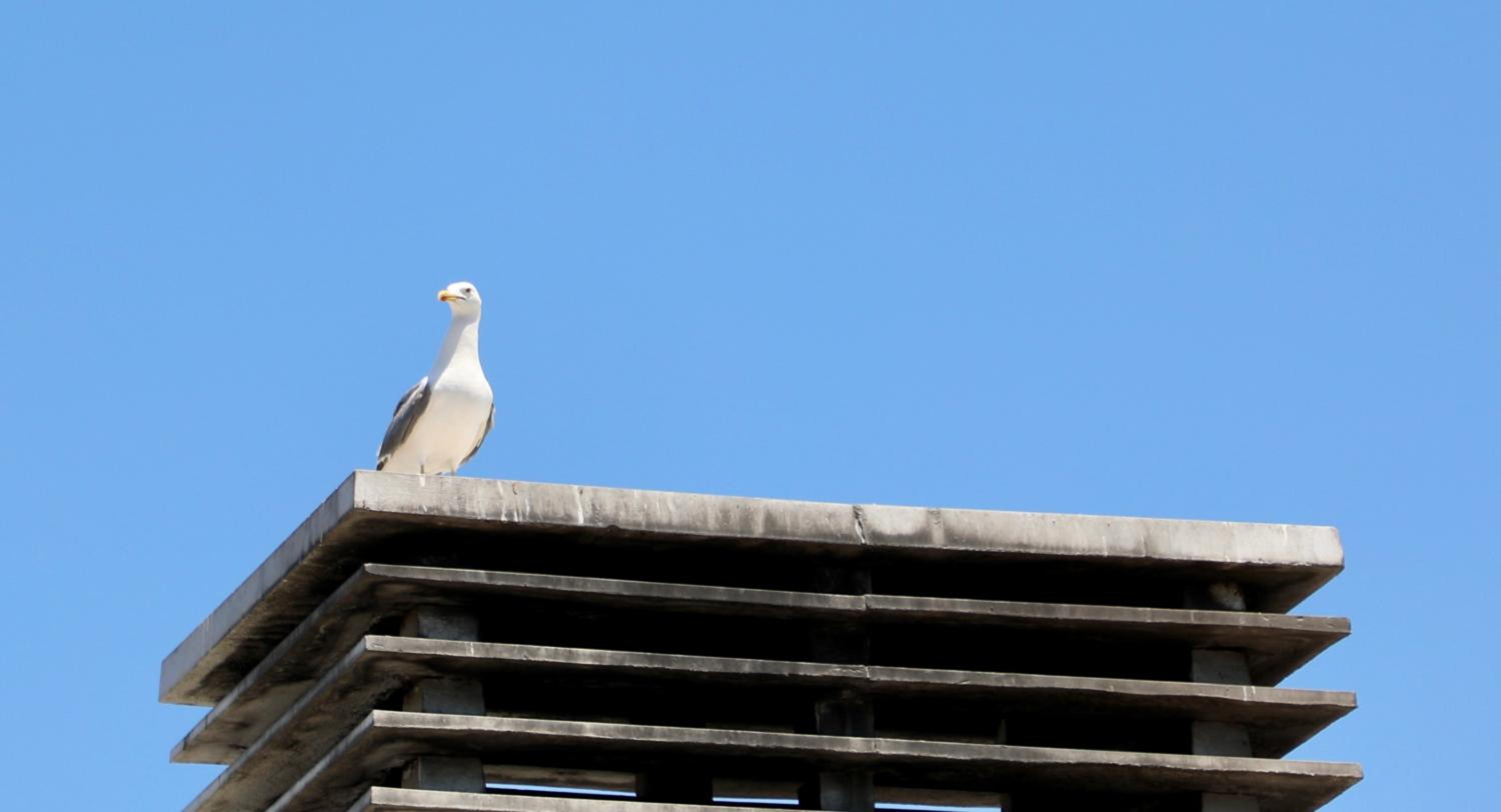 Istanbul Royal Hotel - Image 279