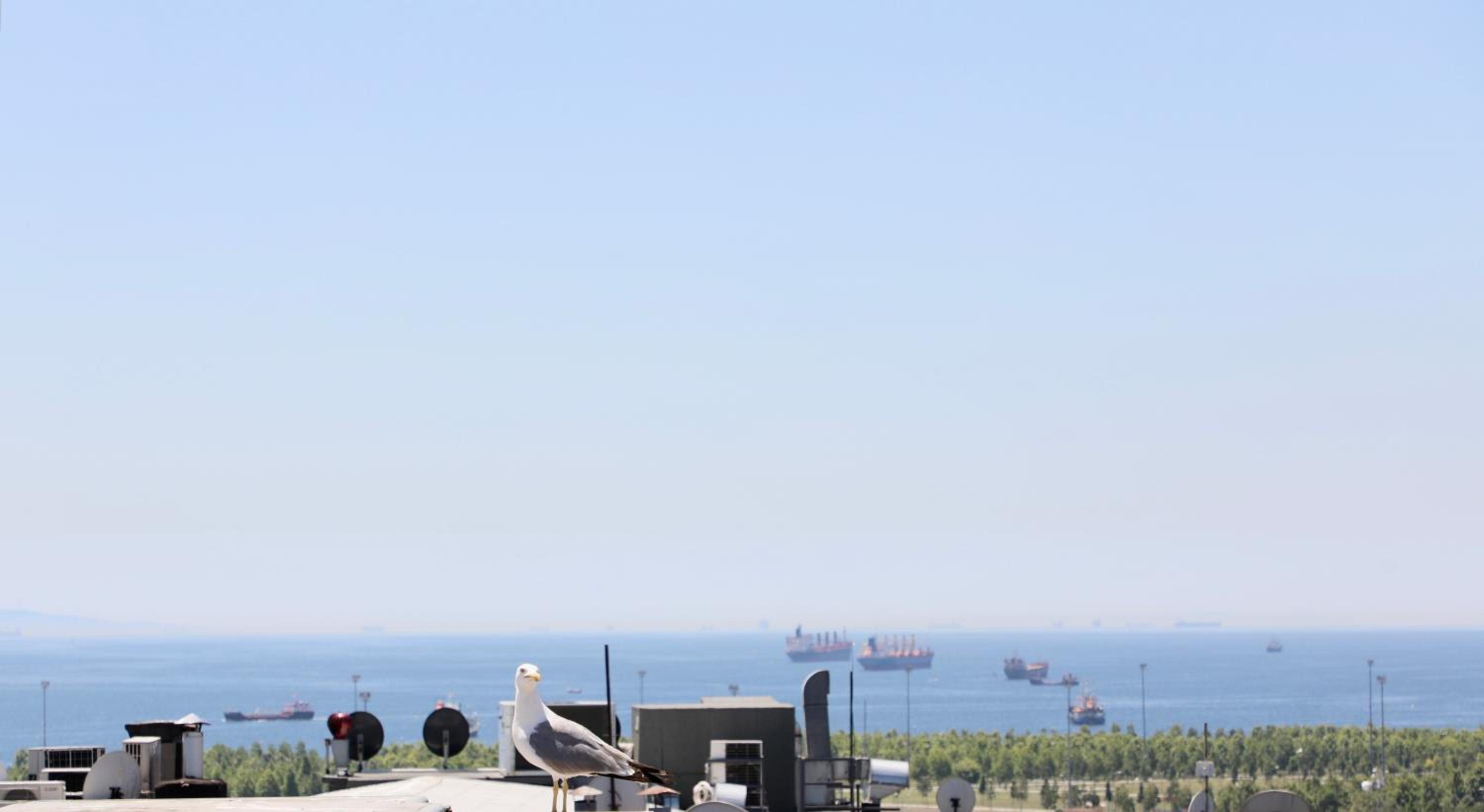 Istanbul Royal Hotel - Image 281