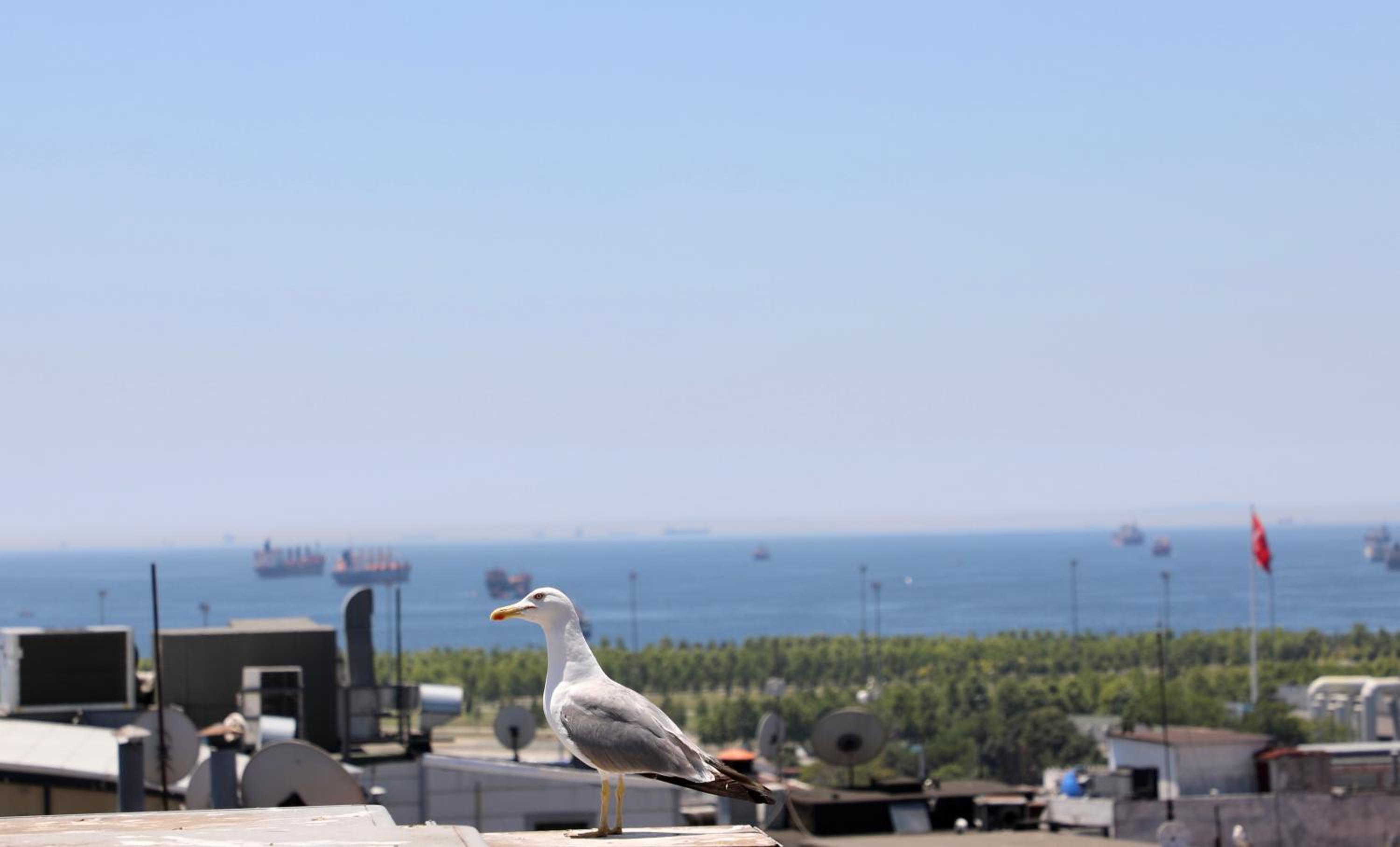 Istanbul Royal Hotel - Image 282