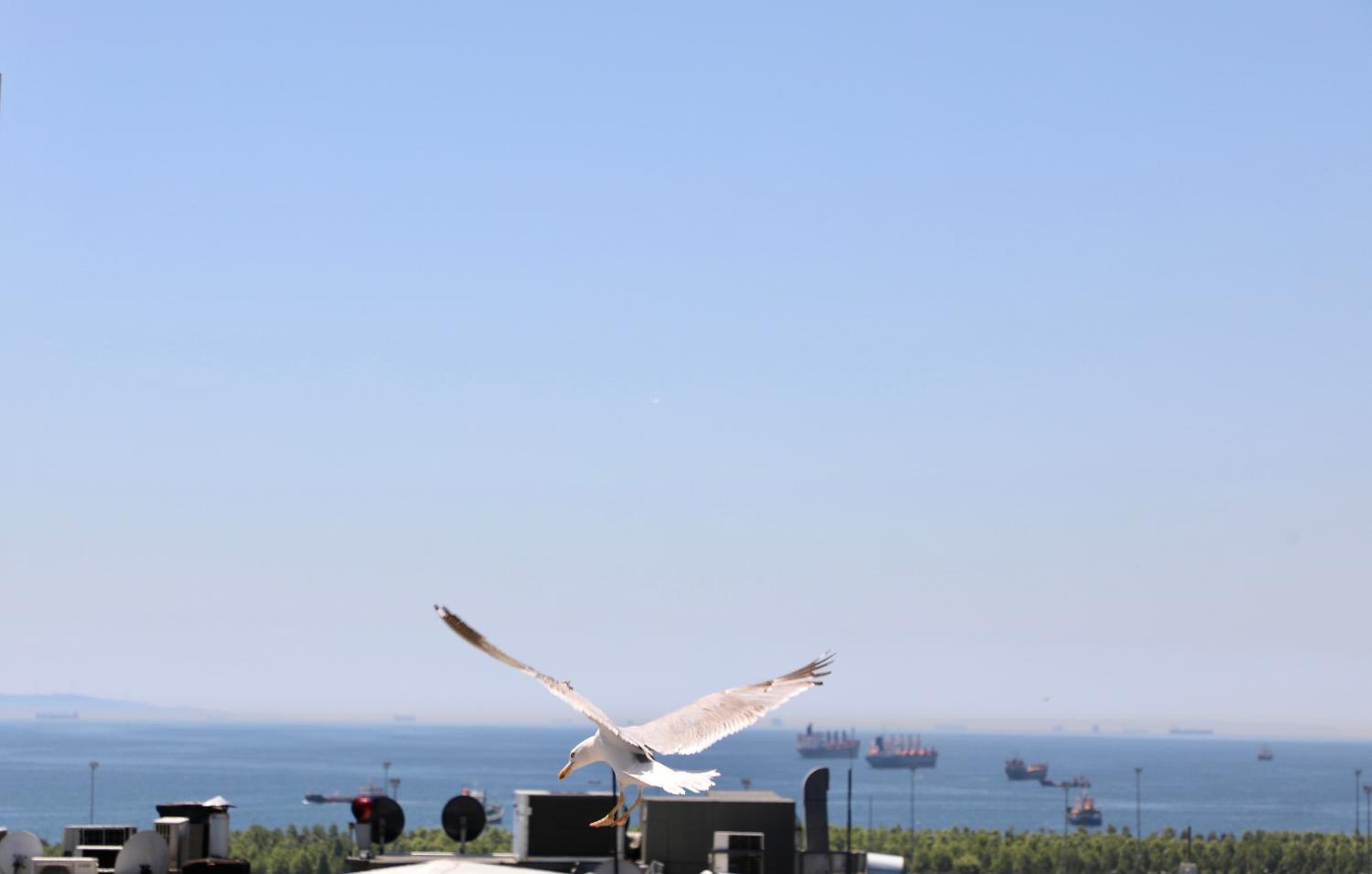 Istanbul Royal Hotel - Image 91