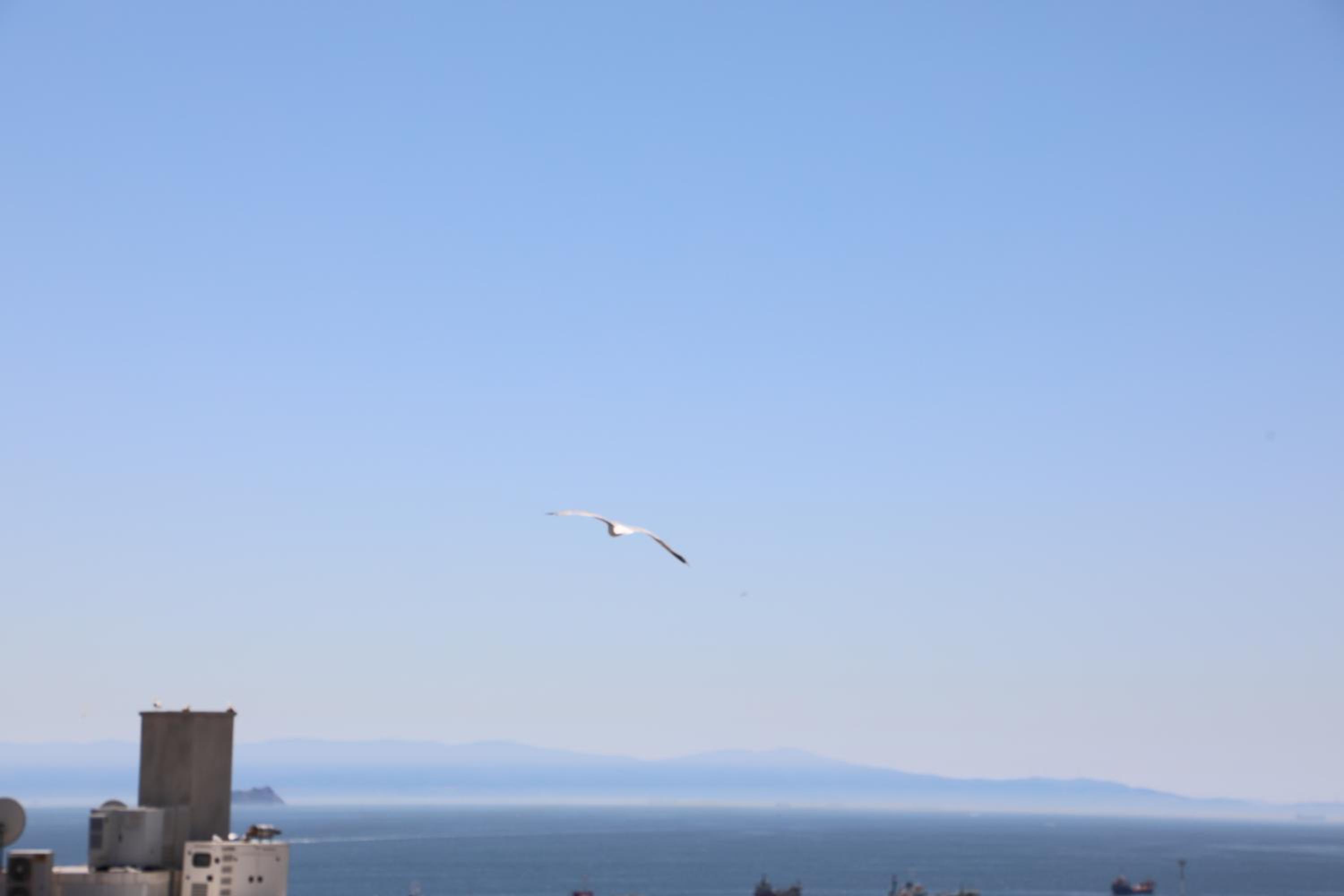 Istanbul Royal Hotel - Image 284