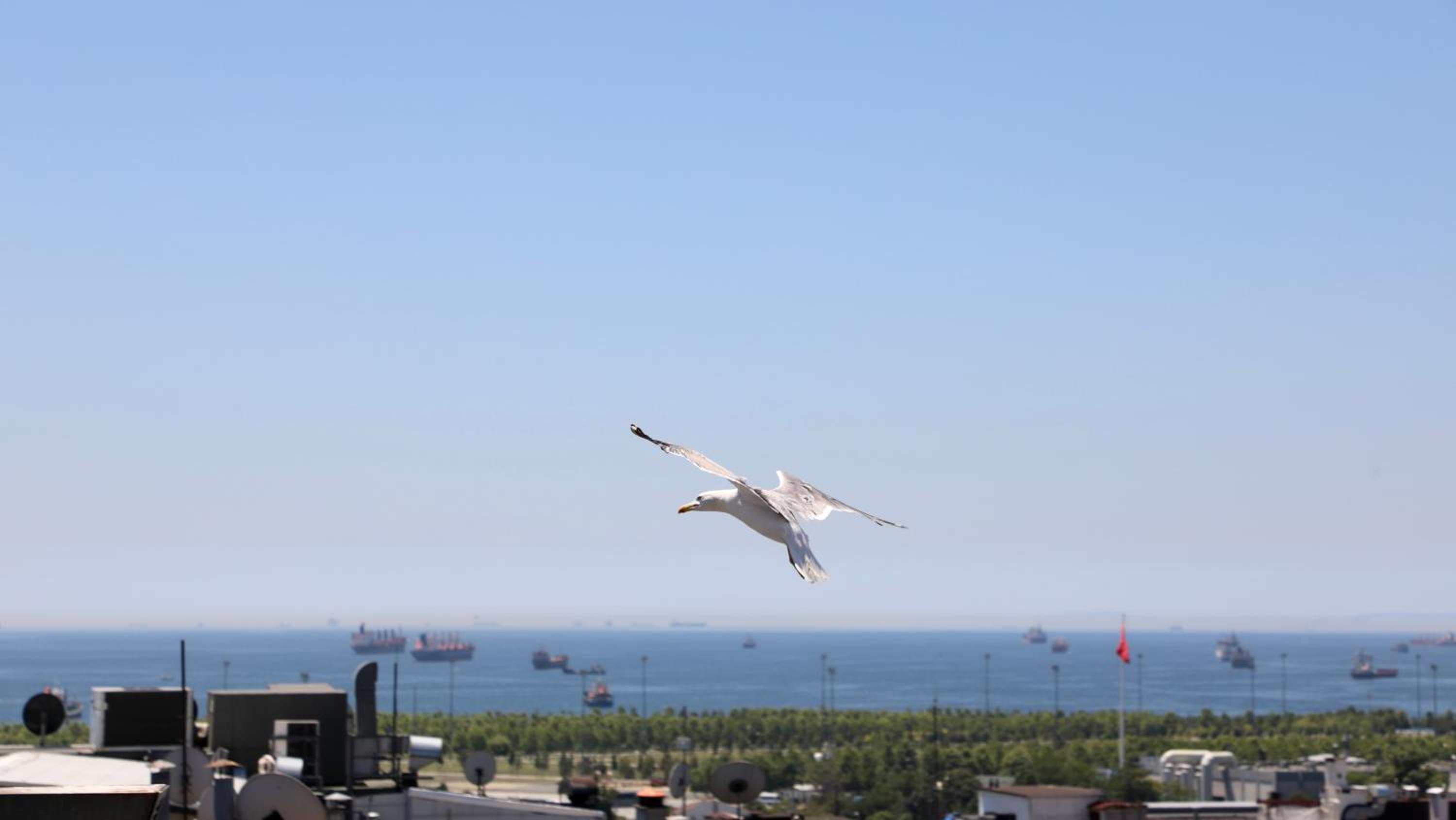 Istanbul Royal Hotel - Image 285