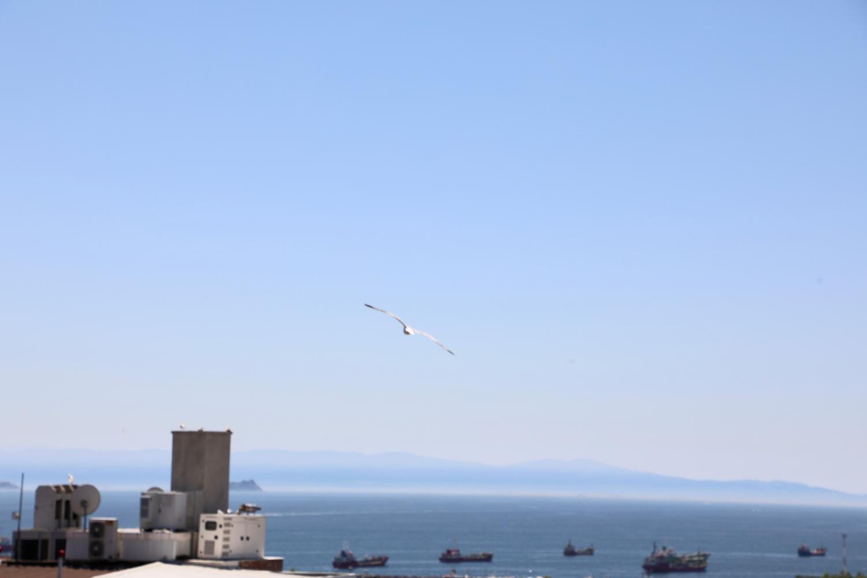 Istanbul Royal Hotel - Image 288