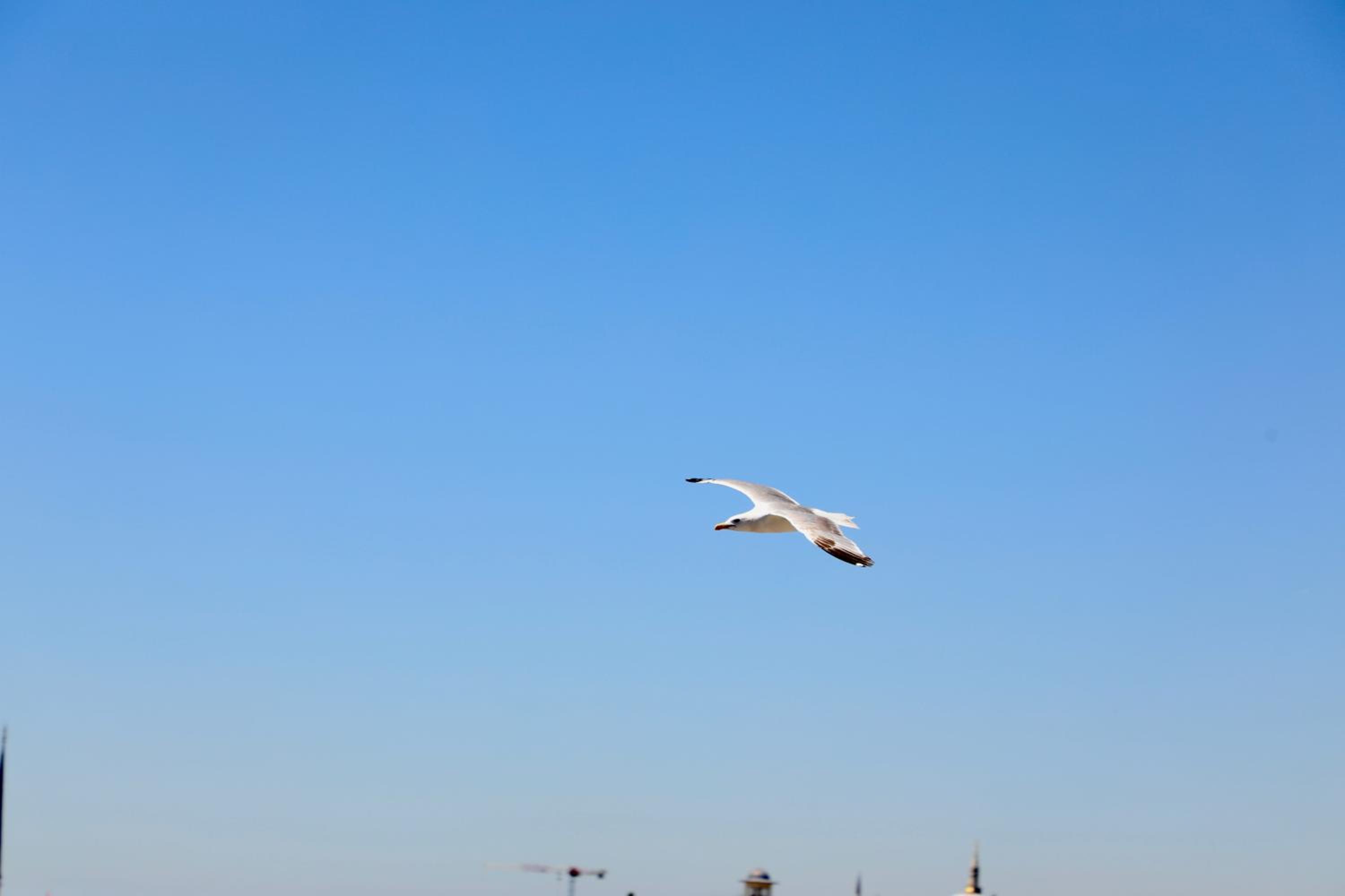 Istanbul Royal Hotel - Image 205