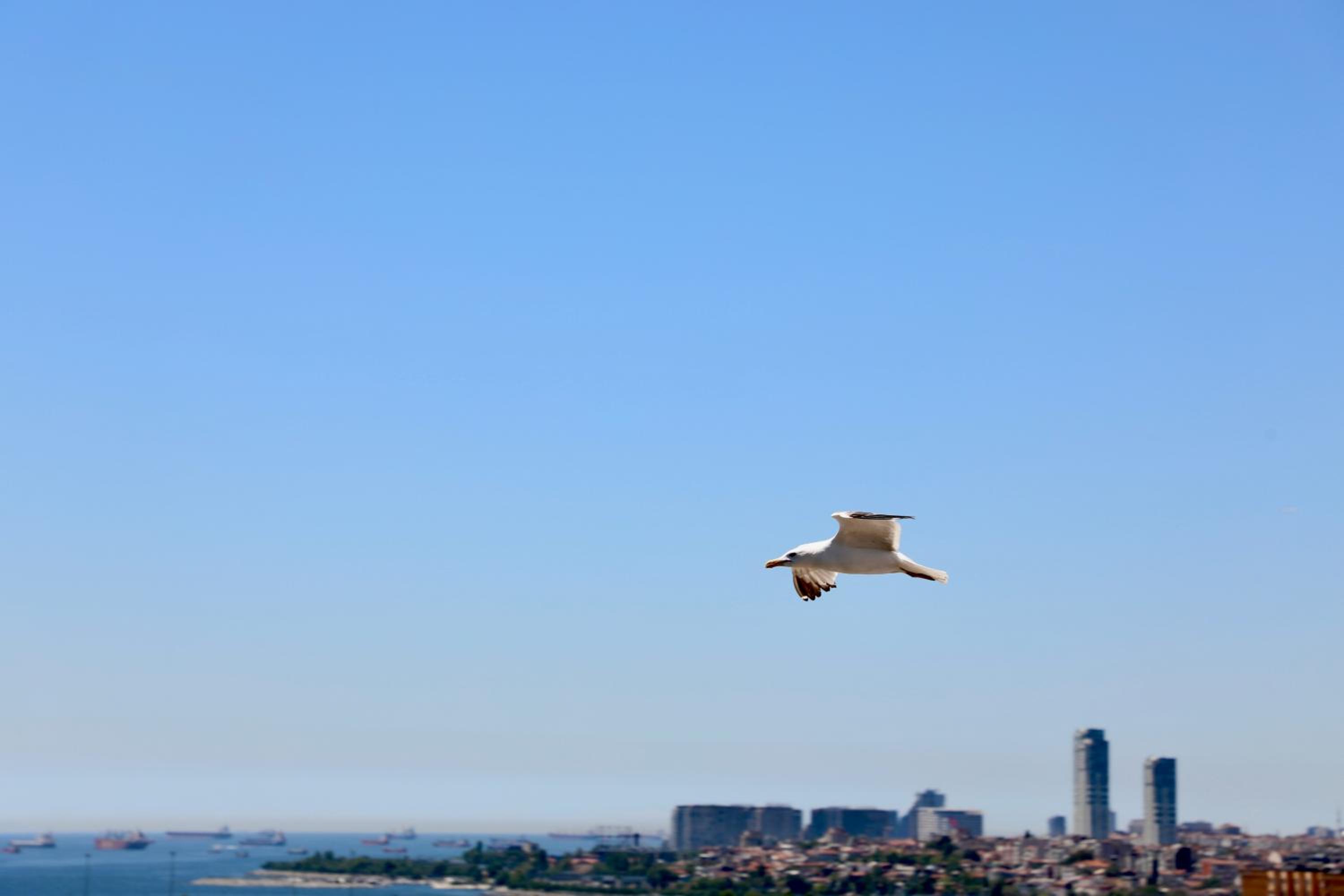 Istanbul Royal Hotel - Image 289