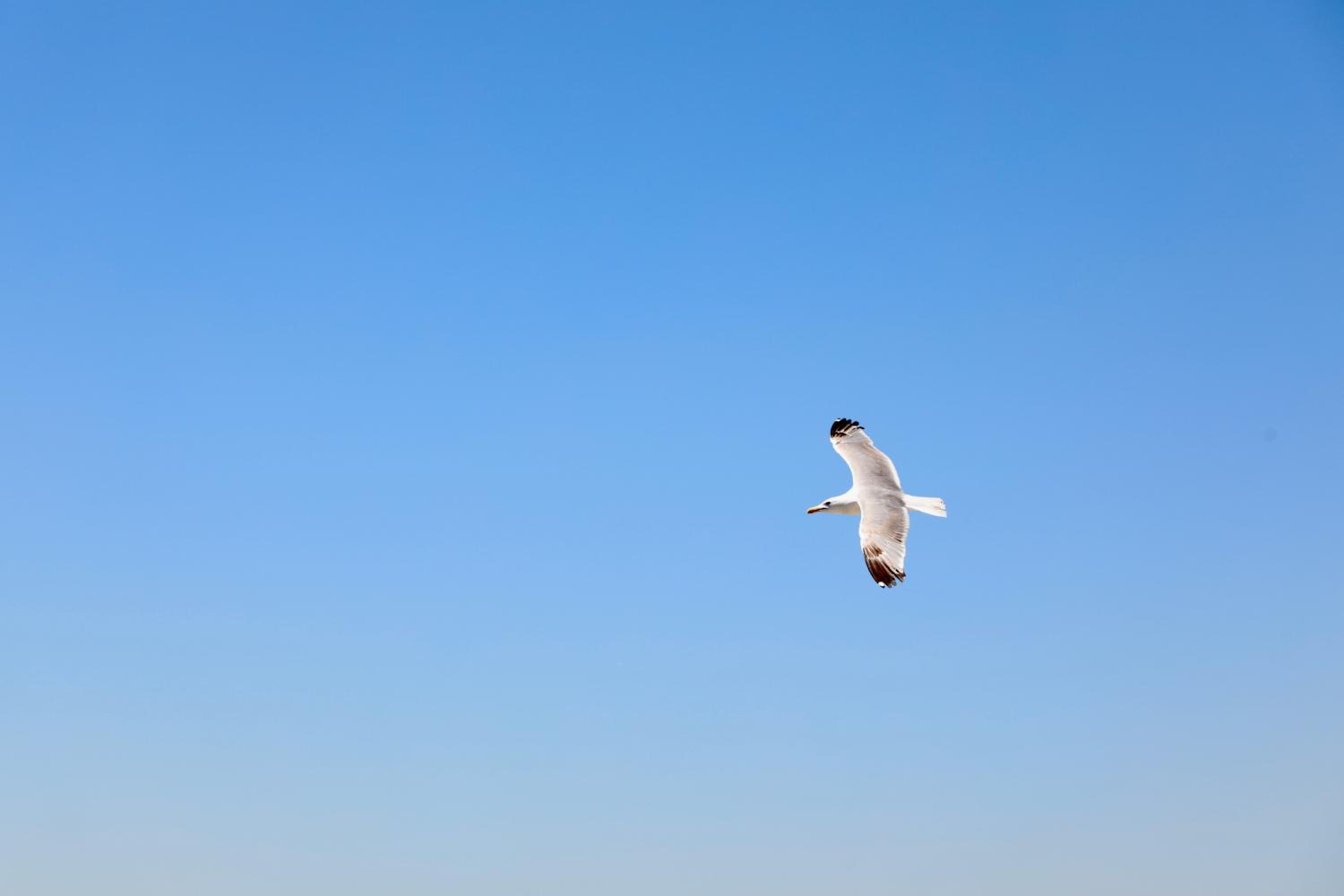 Istanbul Royal Hotel - Image 92