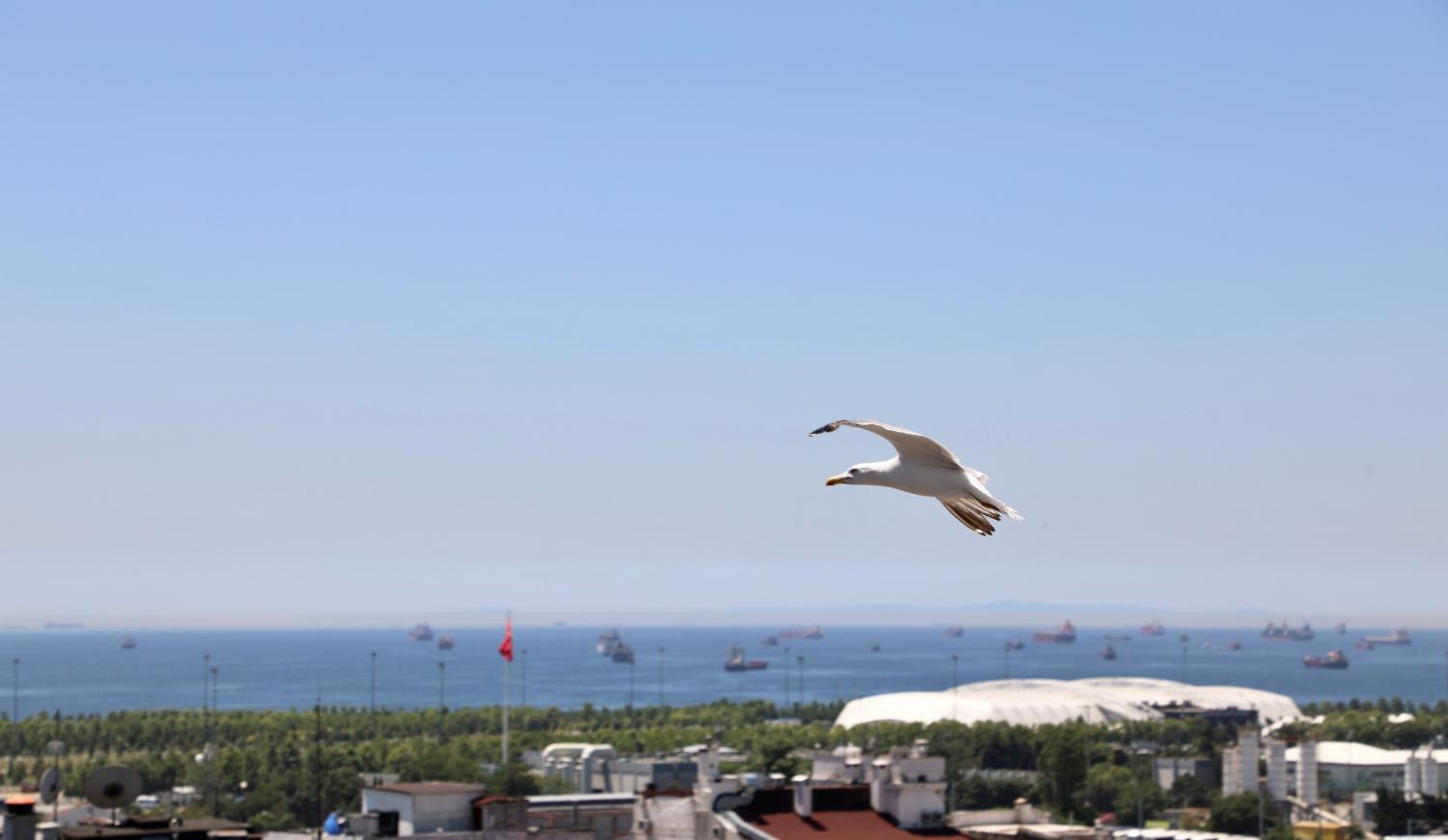 Istanbul Royal Hotel - Image 206