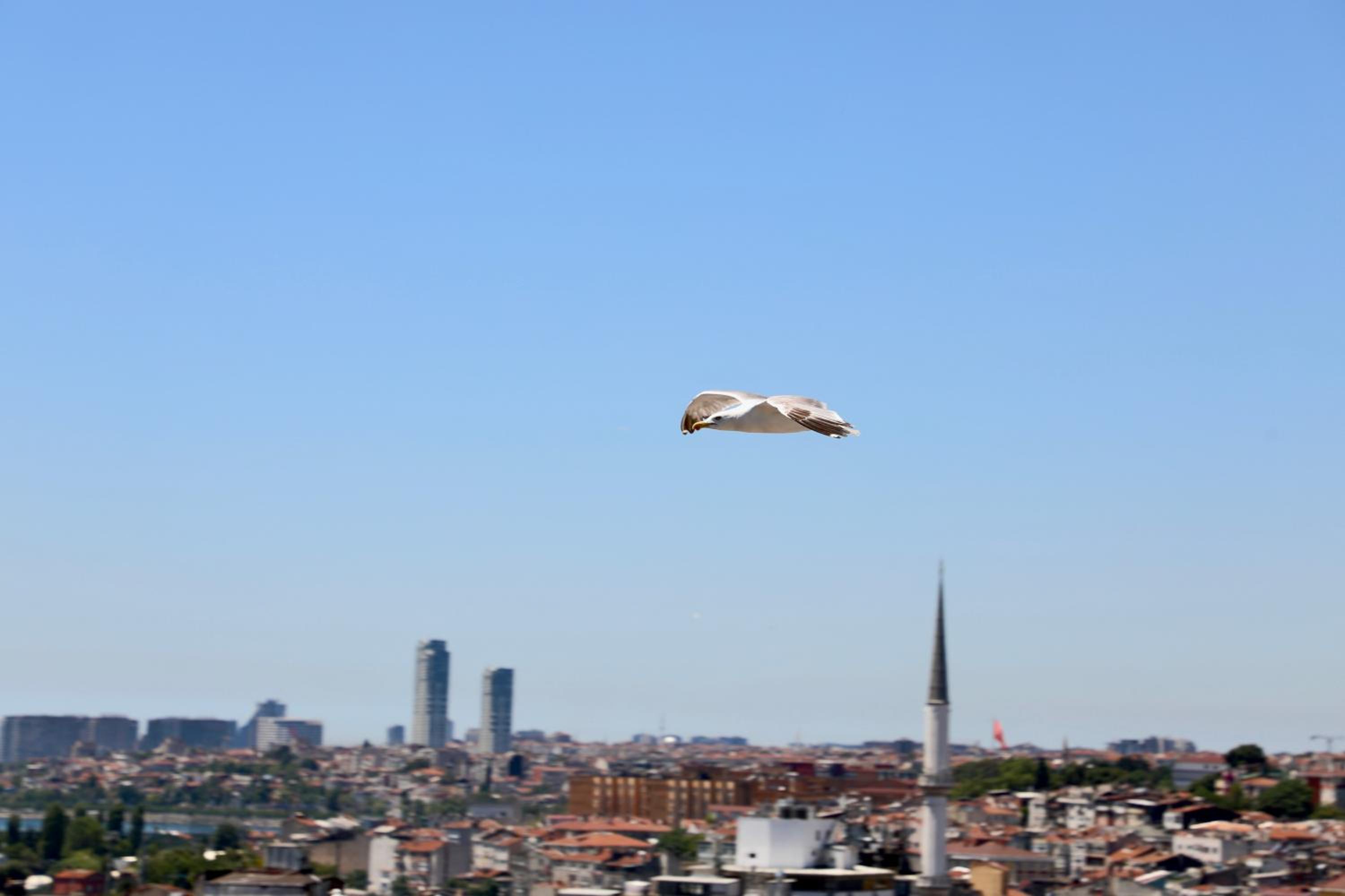 Istanbul Royal Hotel - Image 208