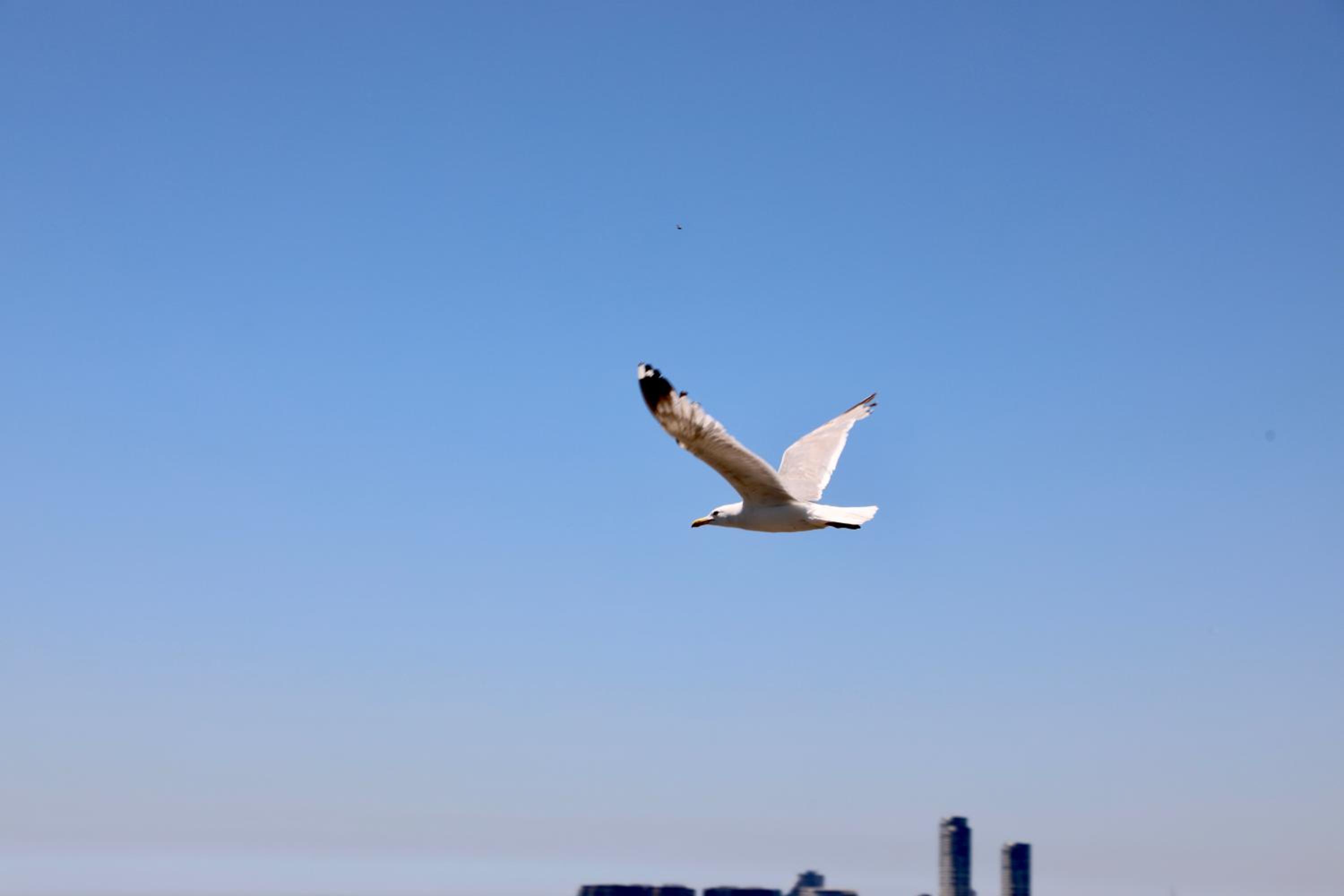 Istanbul Royal Hotel - Image 210