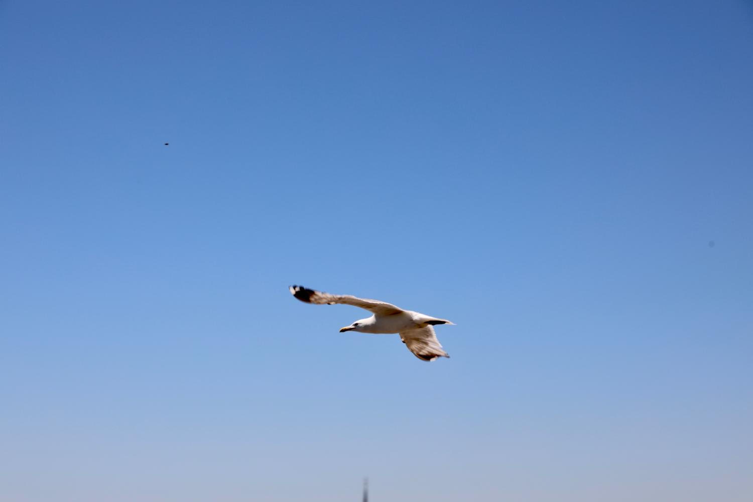 Istanbul Royal Hotel - Image 212