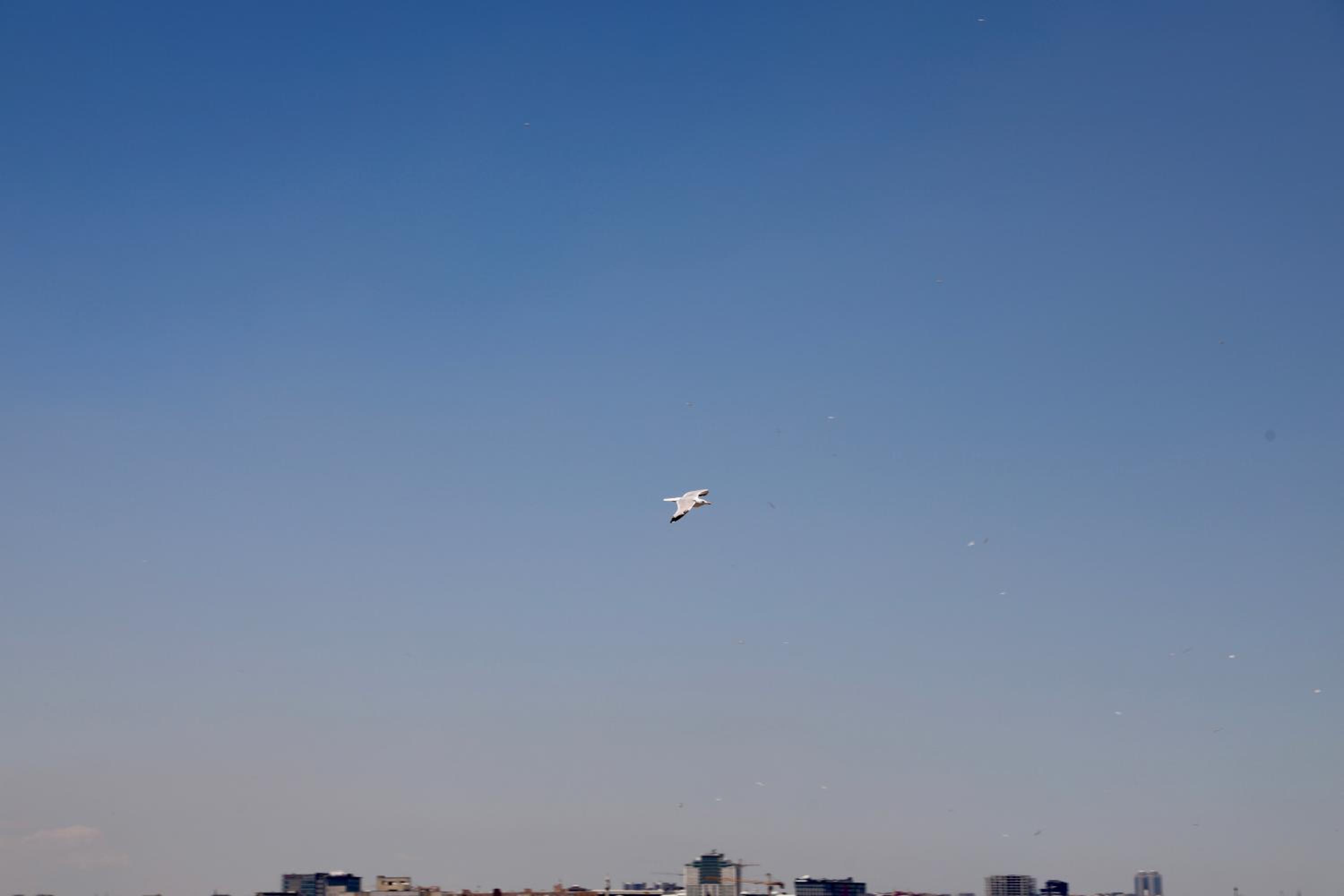 Istanbul Royal Hotel - Image 95