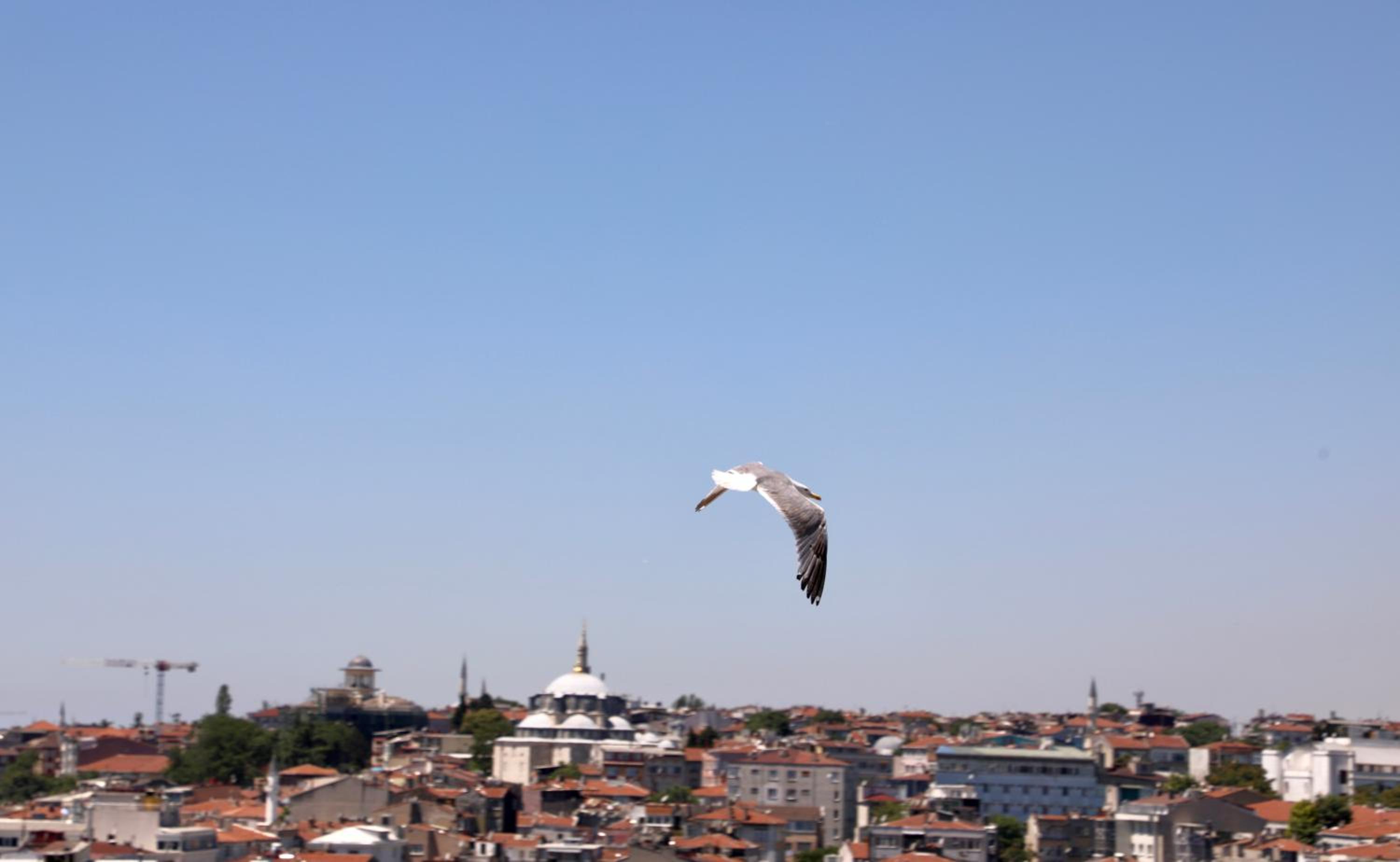 Istanbul Royal Hotel - Image 96