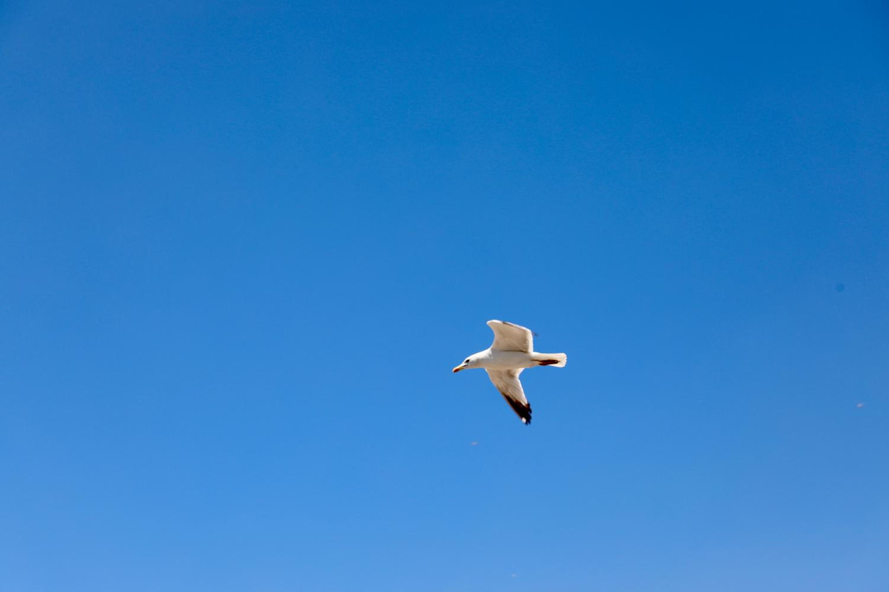Istanbul Royal Hotel - Image 99