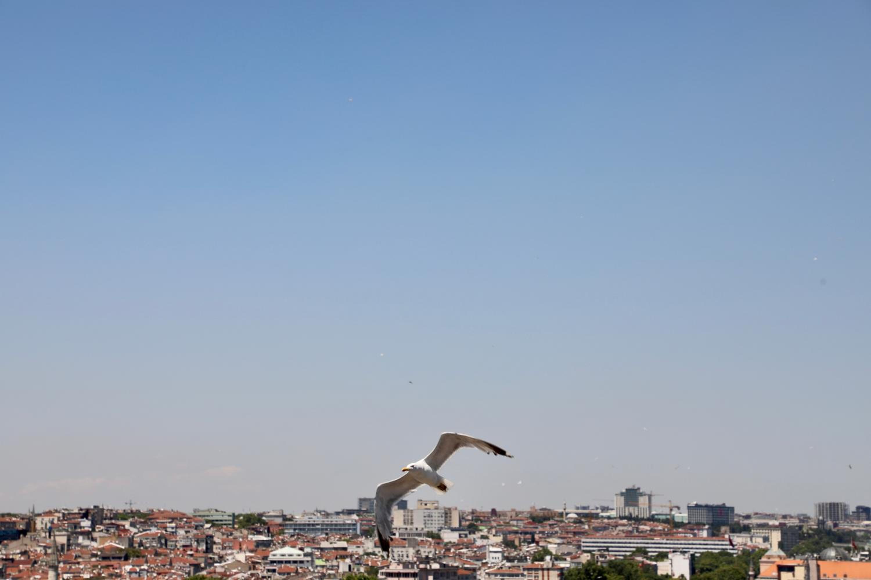 Istanbul Royal Hotel - Image 216