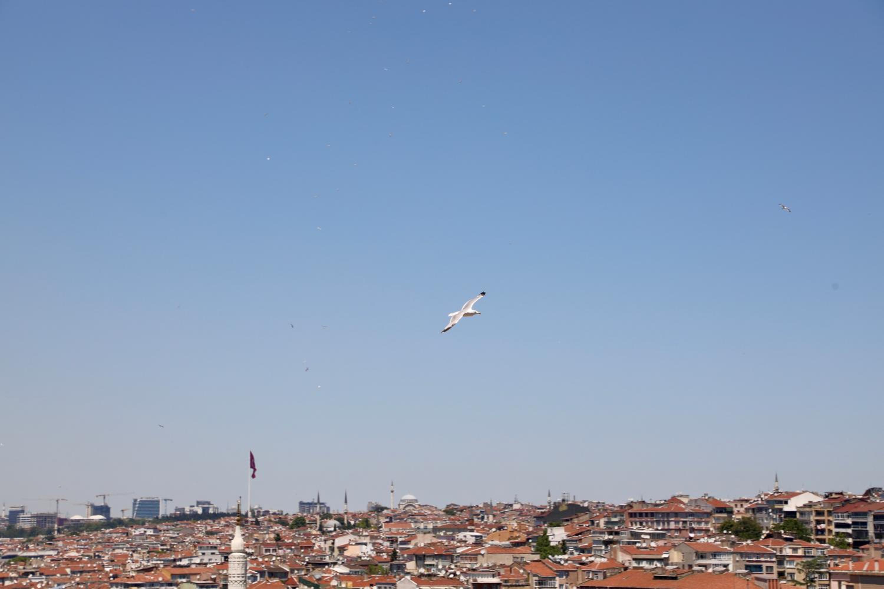 Istanbul Royal Hotel - Image 219