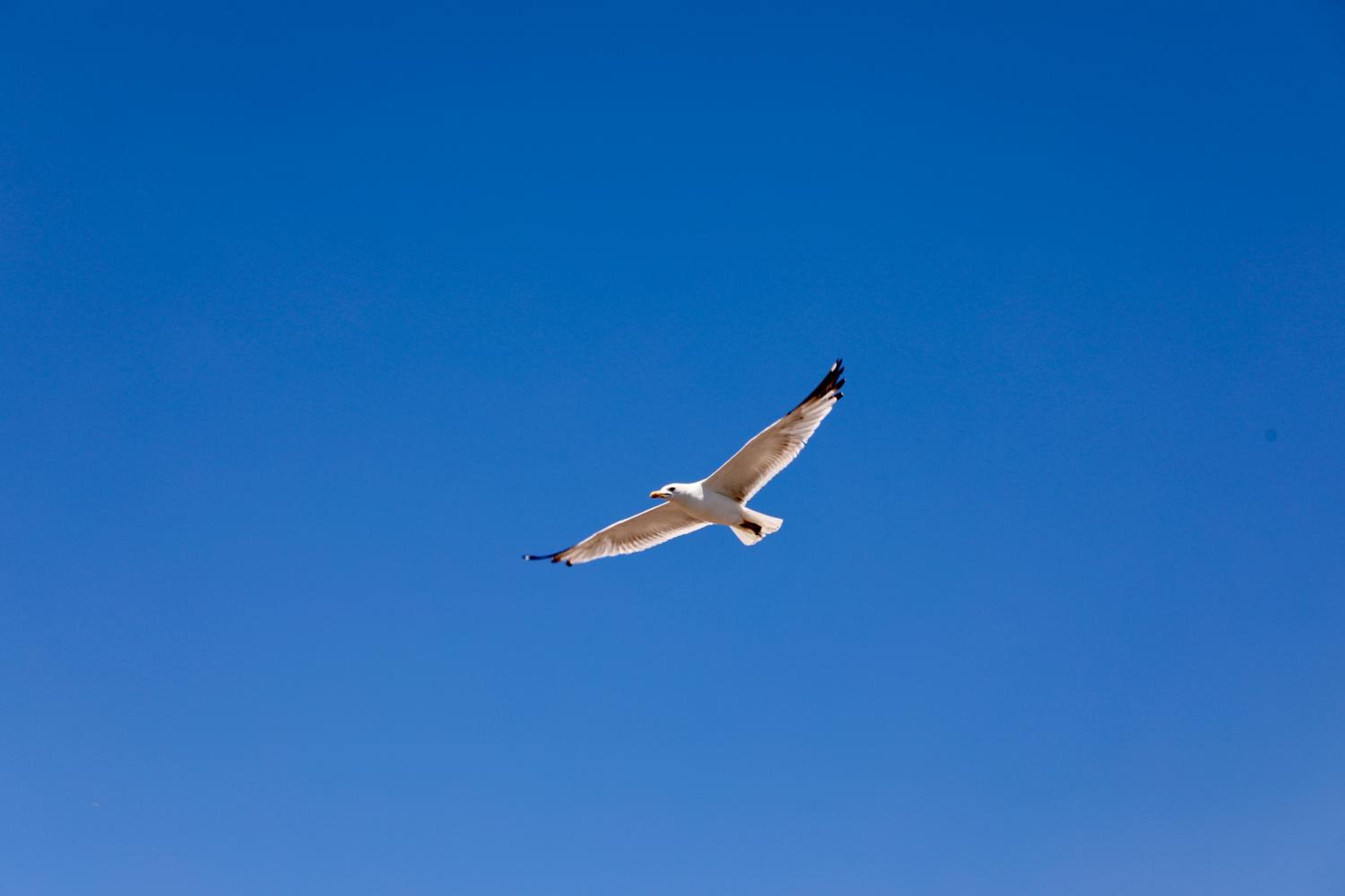 Istanbul Royal Hotel - Image 218