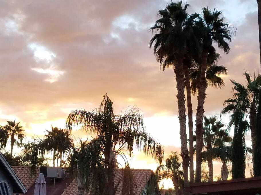 Chill Out in Phoenix view 3