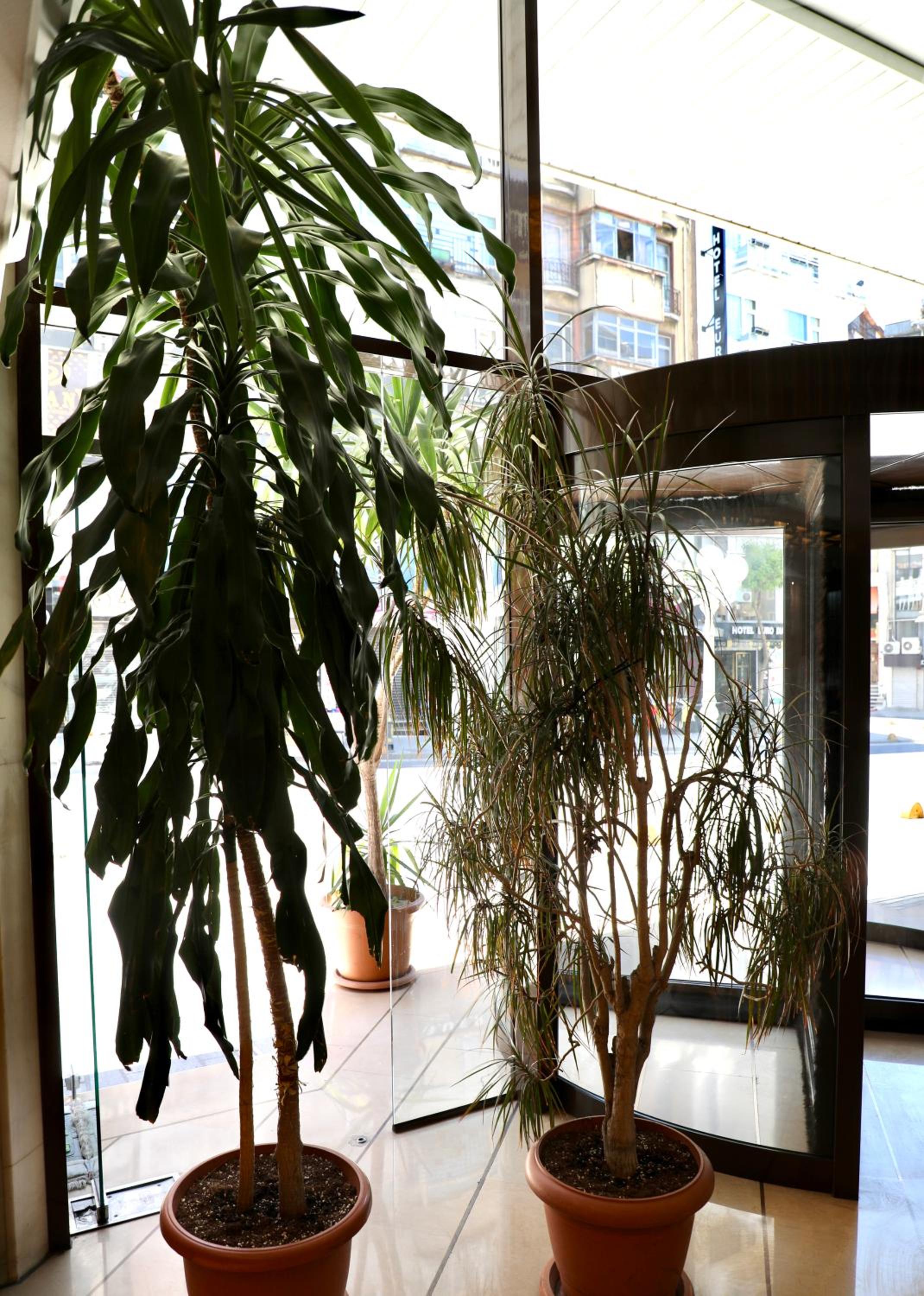 Istanbul Royal Hotel - Image 116