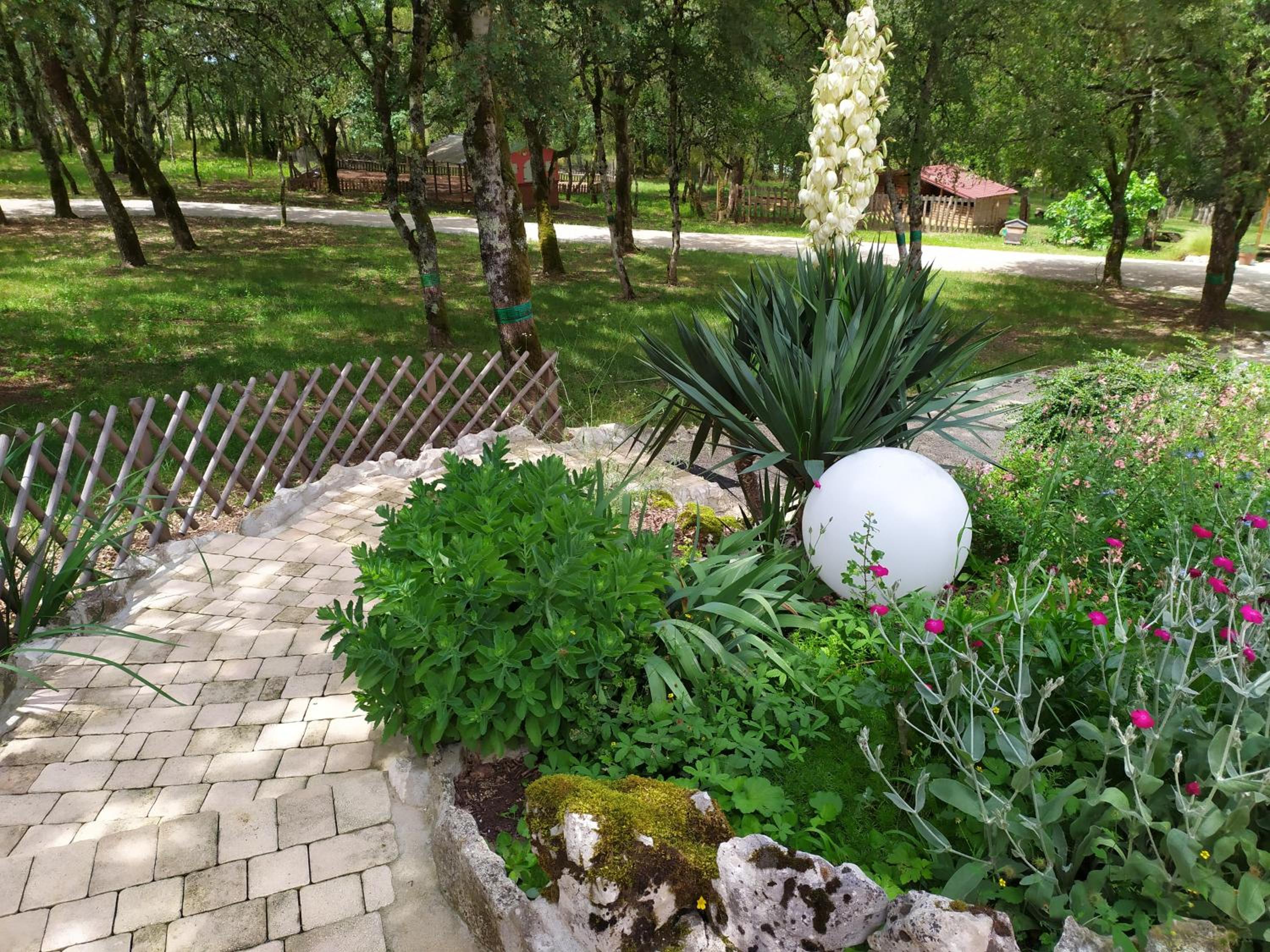 Photo 6
