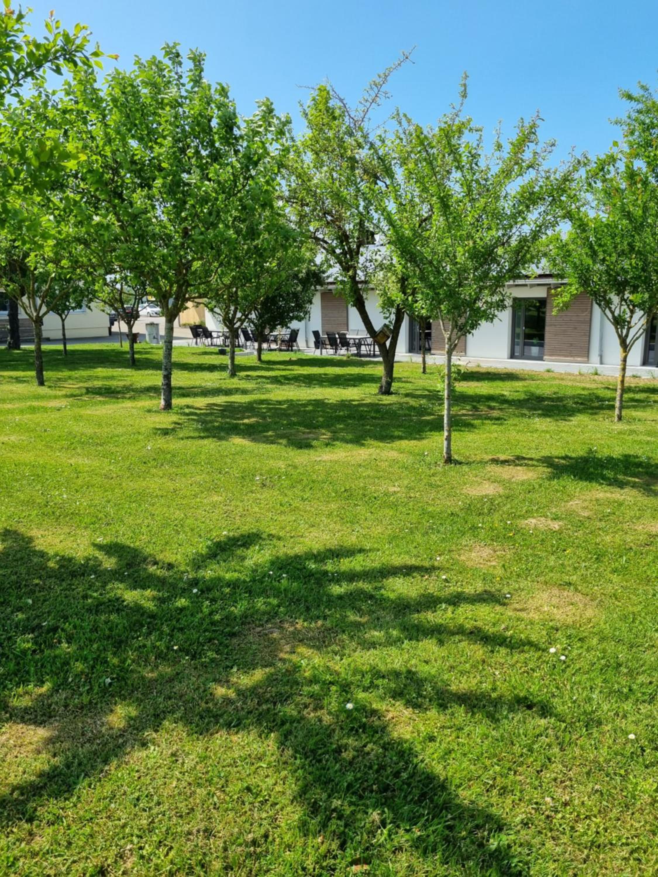 Eiselehof Ferienwohnungen in Alleinlage