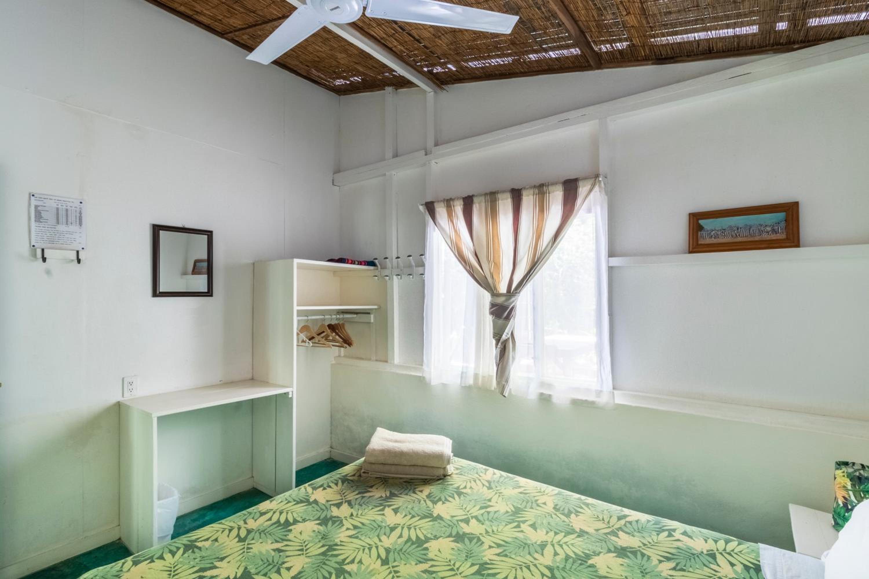 Bajo el Arbol B&B