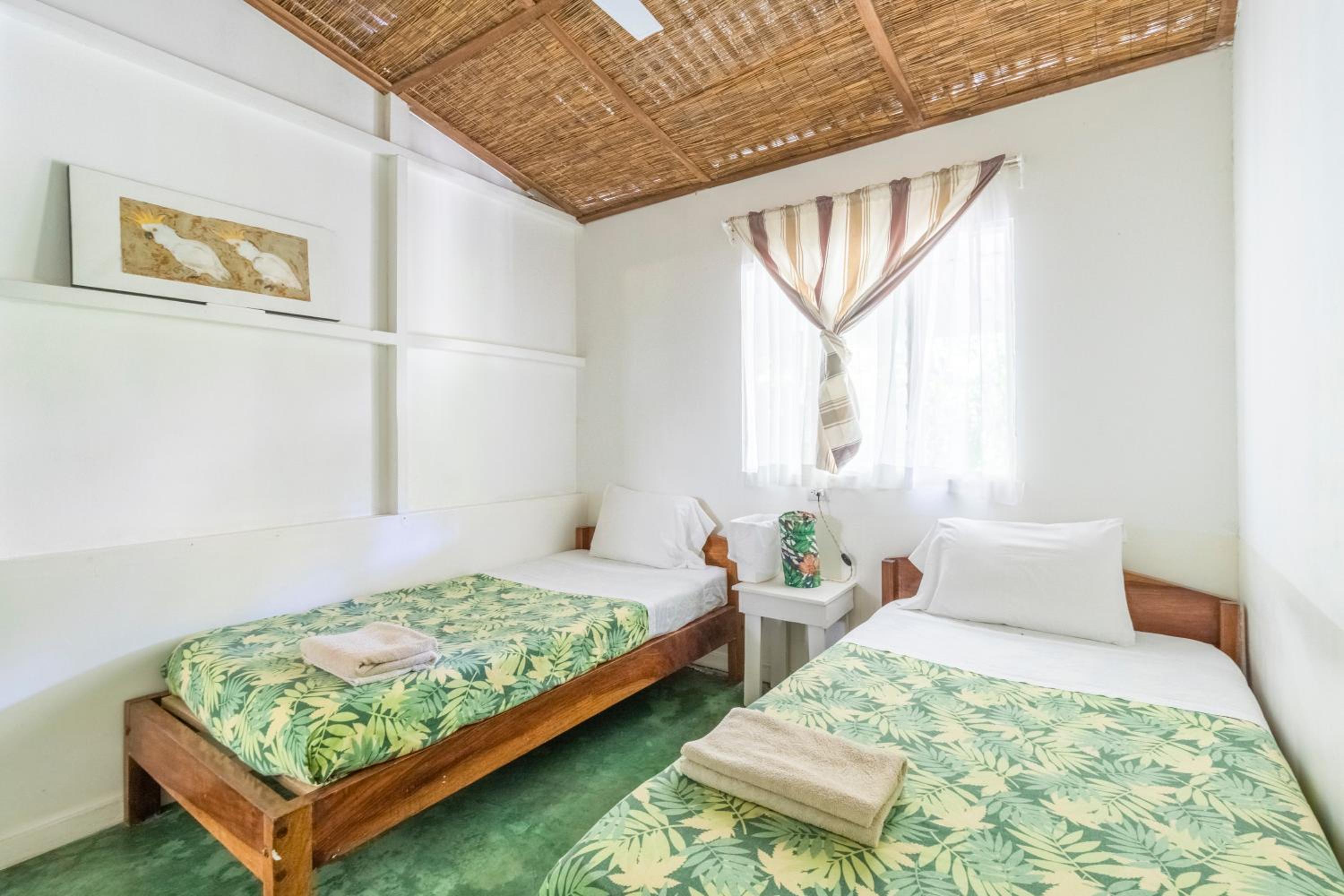Bajo el Arbol B&B