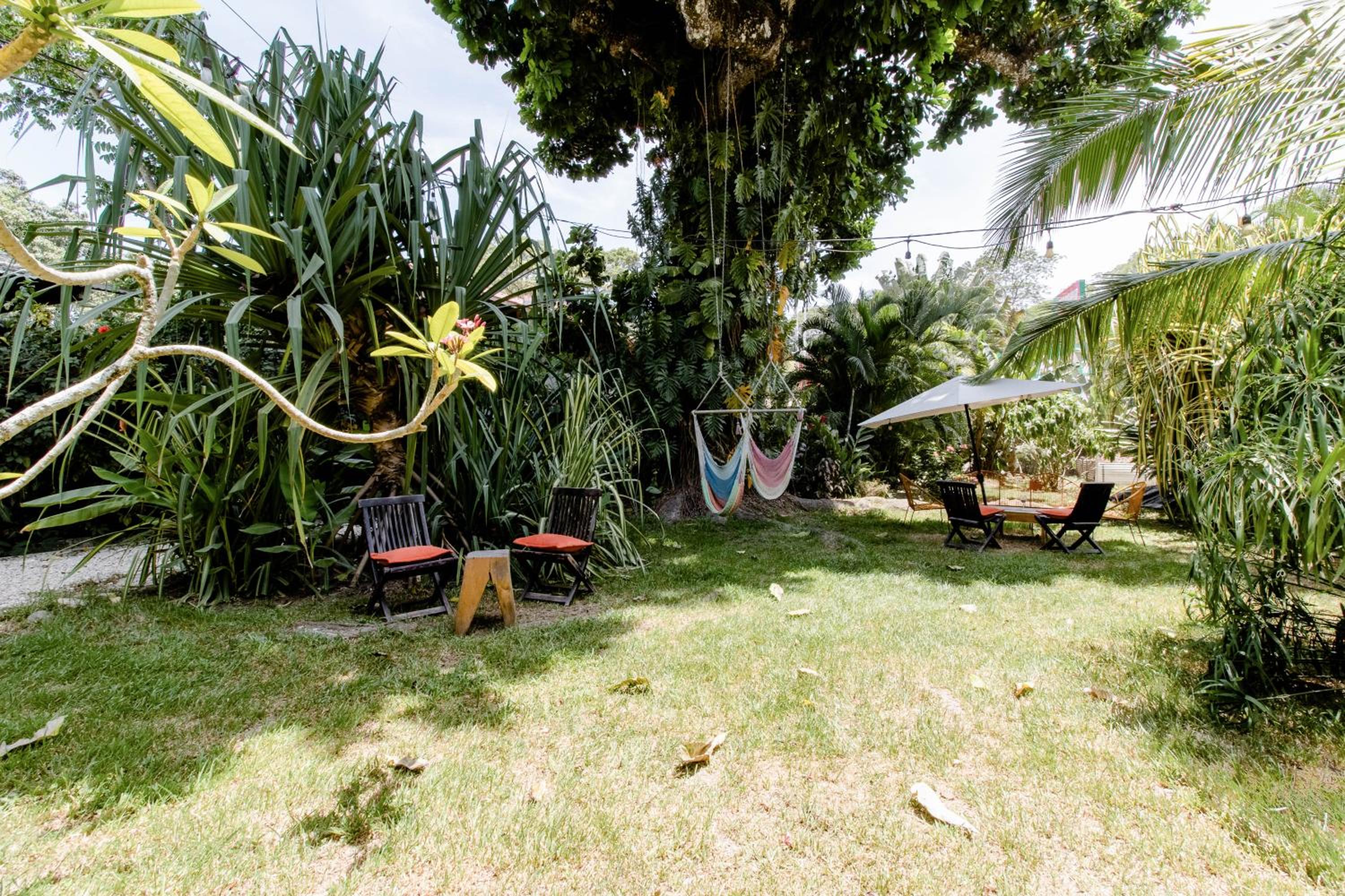 Bajo el Arbol B&B