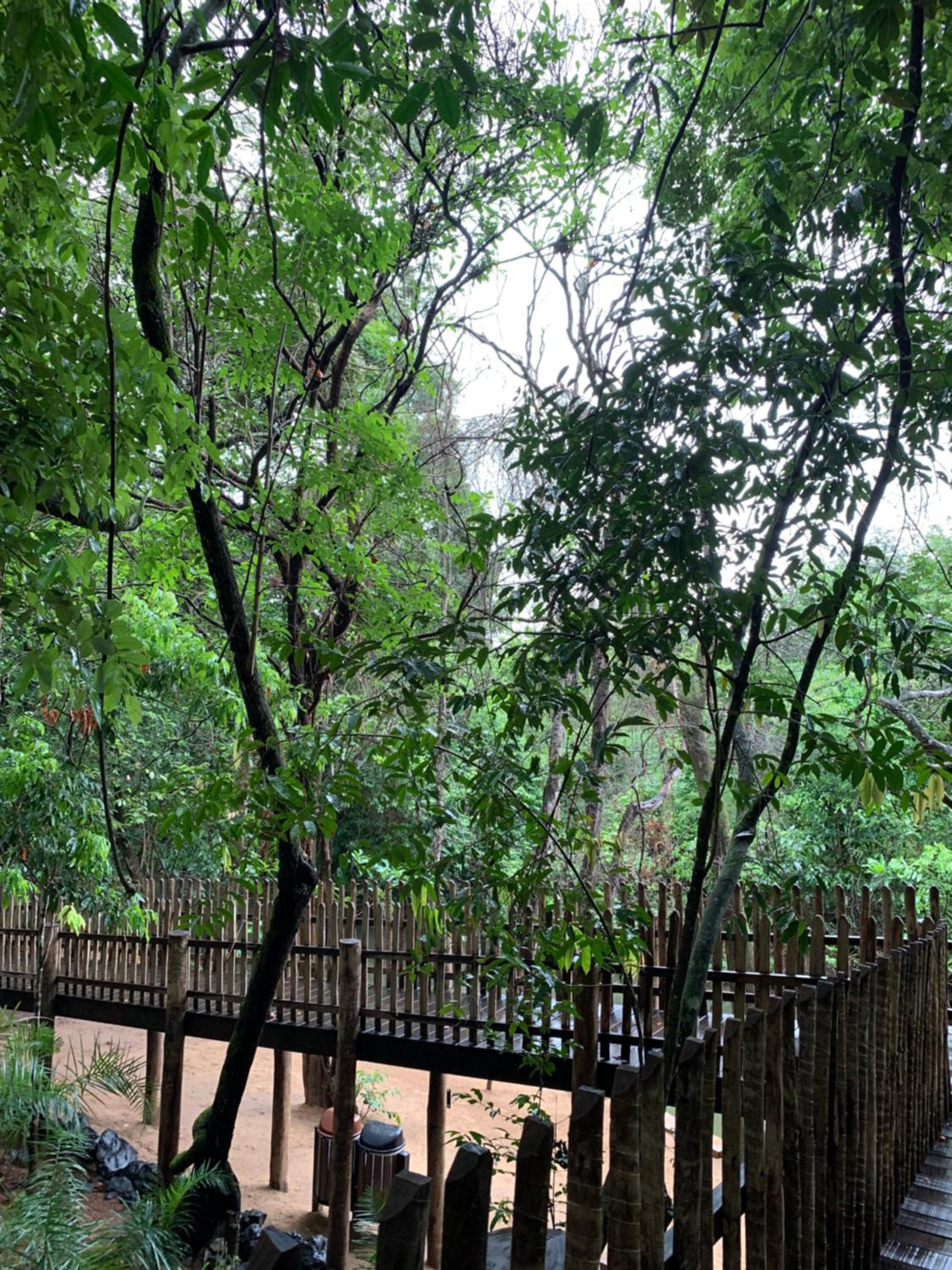 Park Veredas - Rio Quente