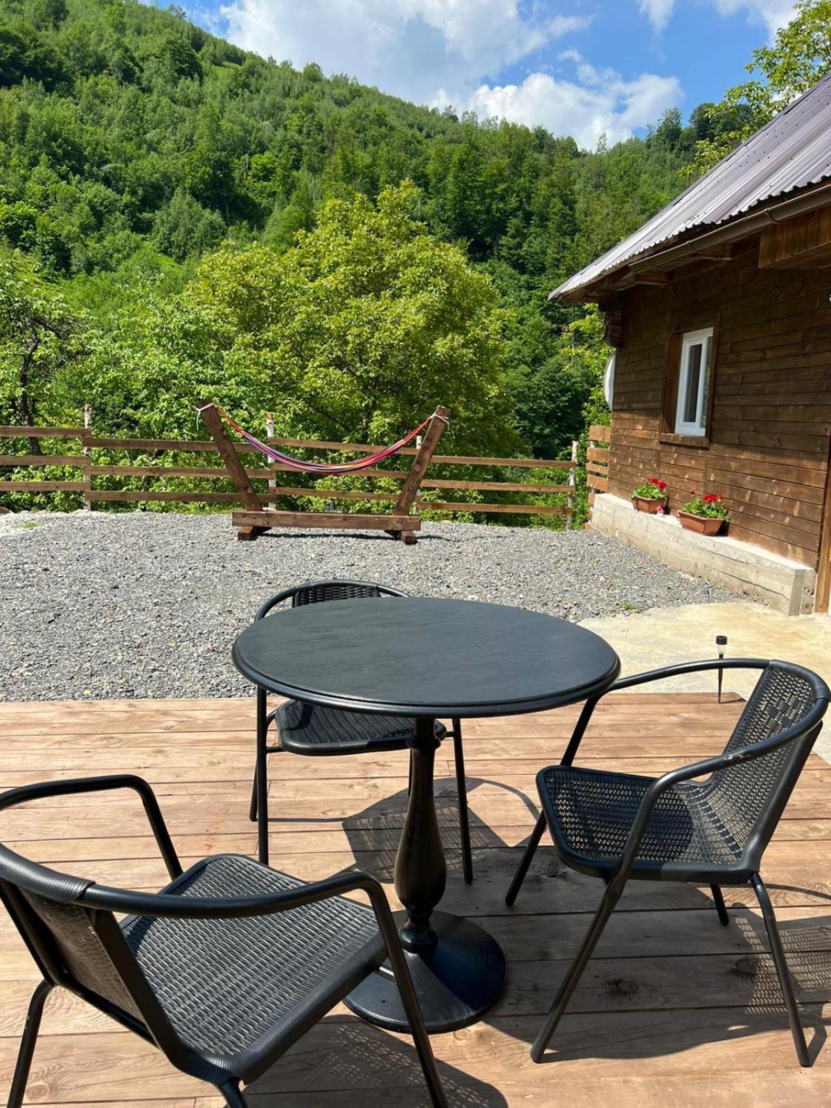 Cabana Muntelui
