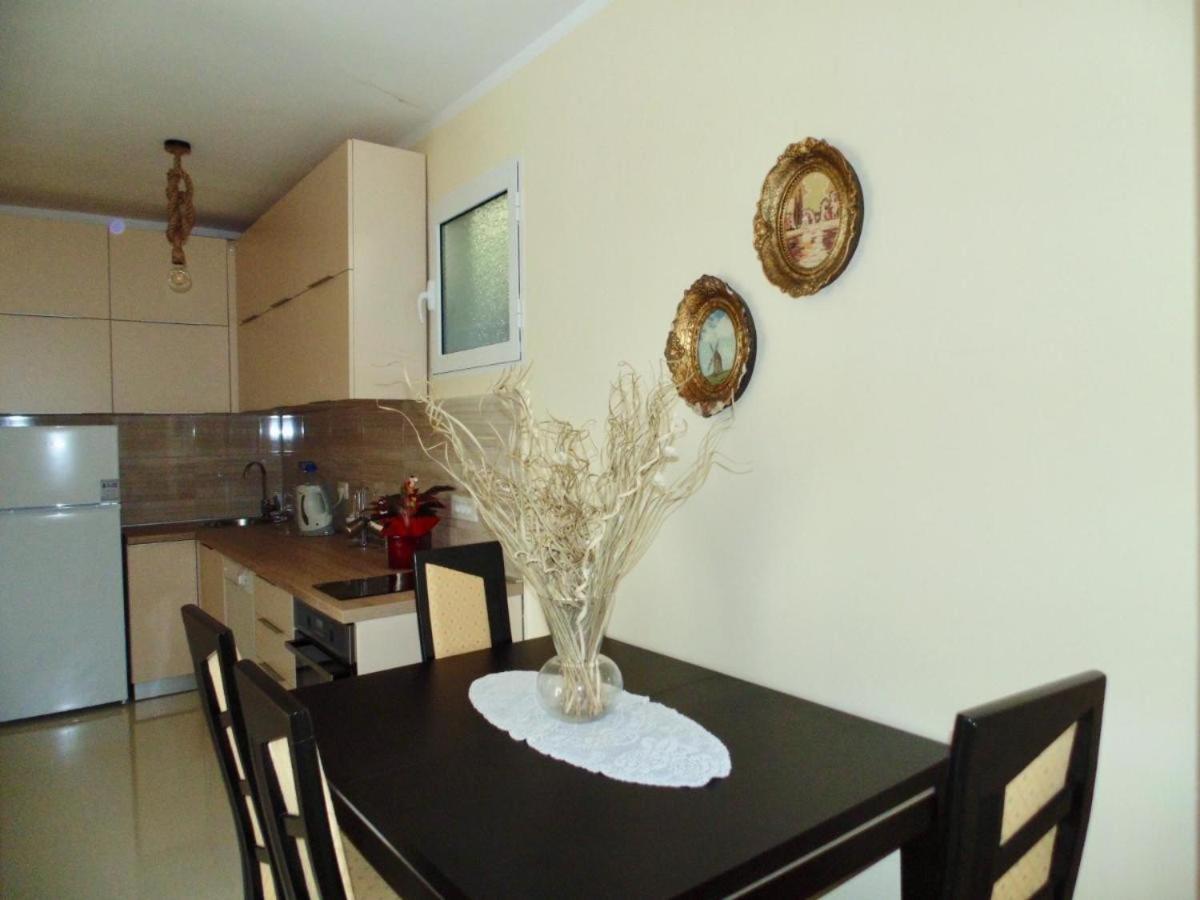 Apartman Rijeka Crnojevica view 3